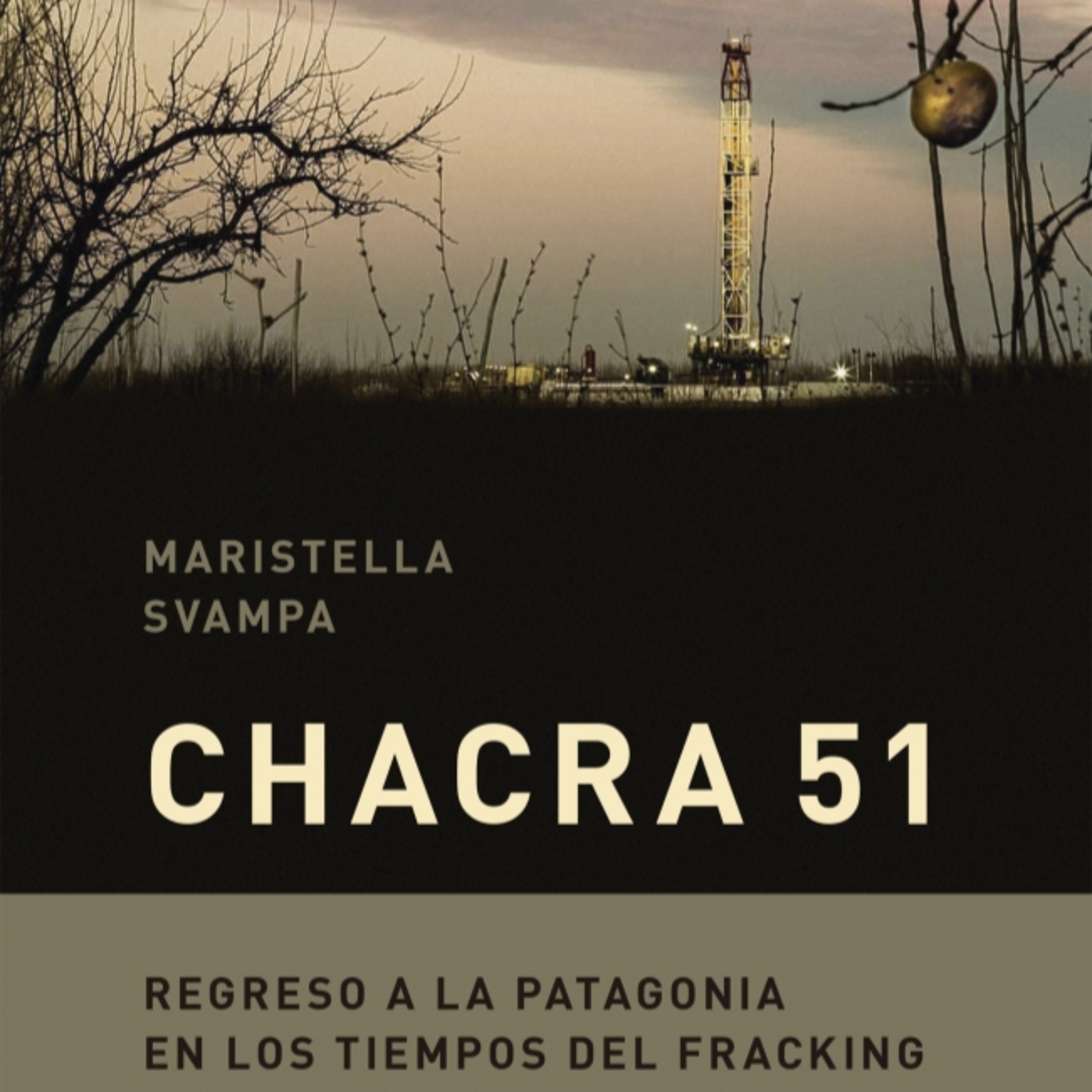 Un libro en un minuto