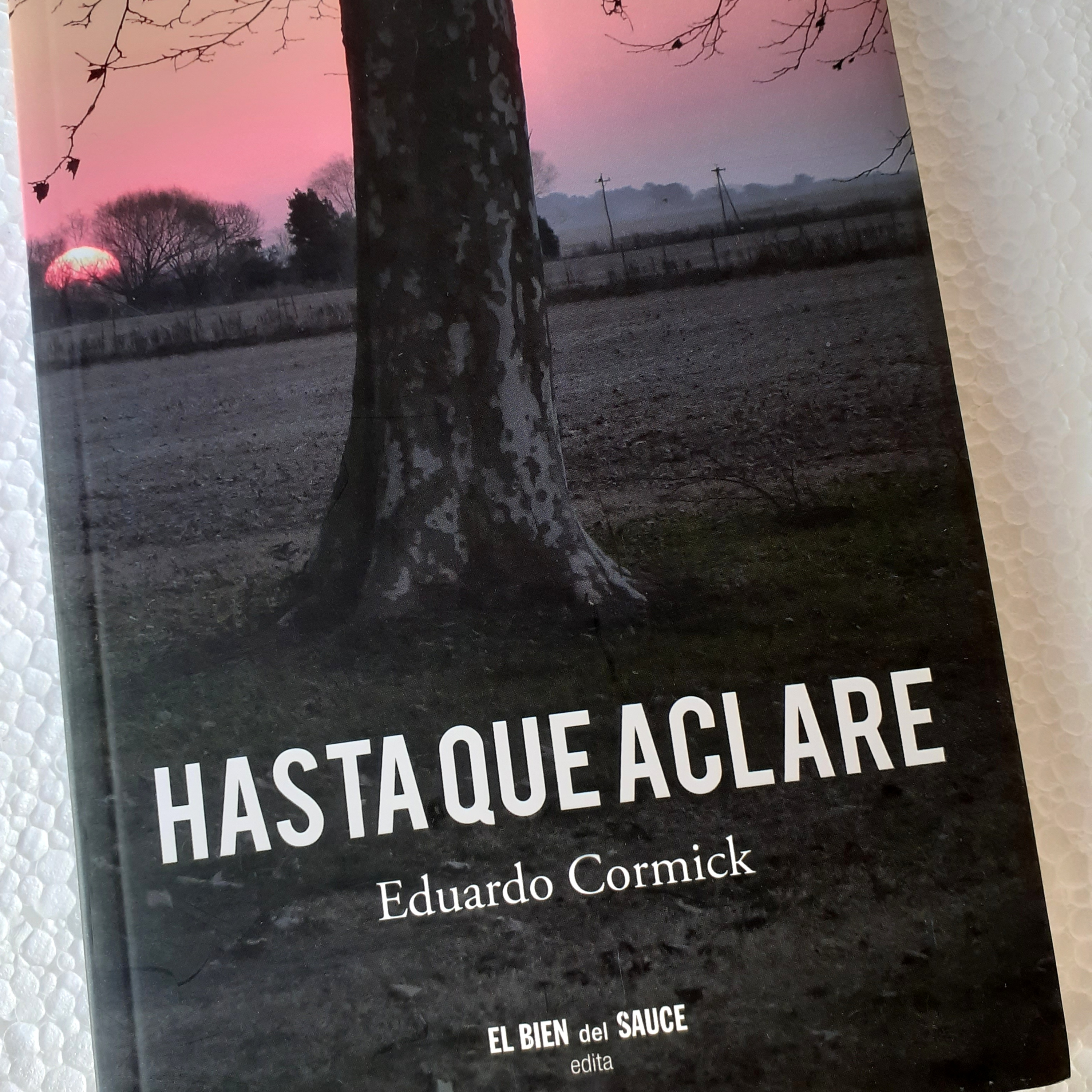 Un libro en un minuto