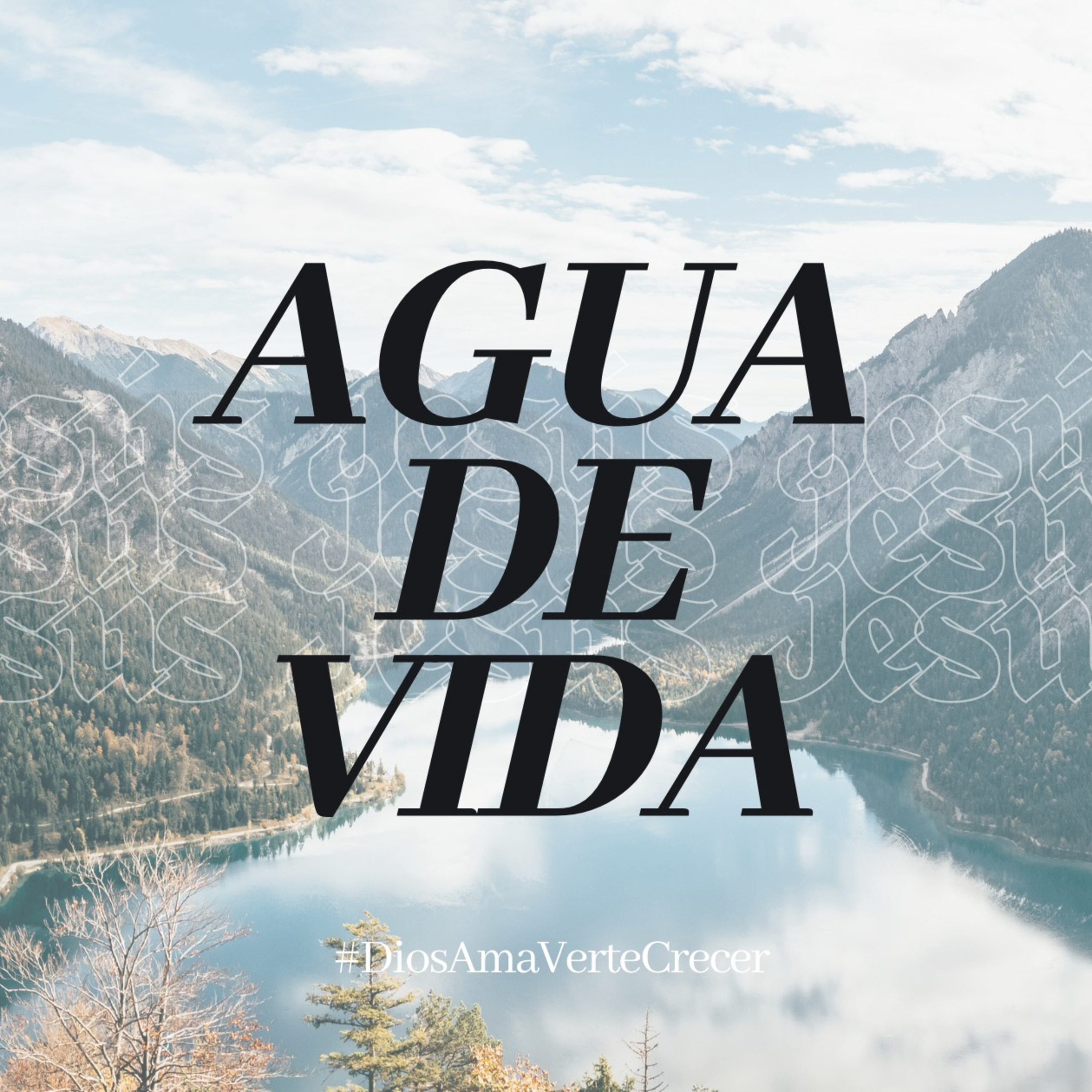Vida y Victoria