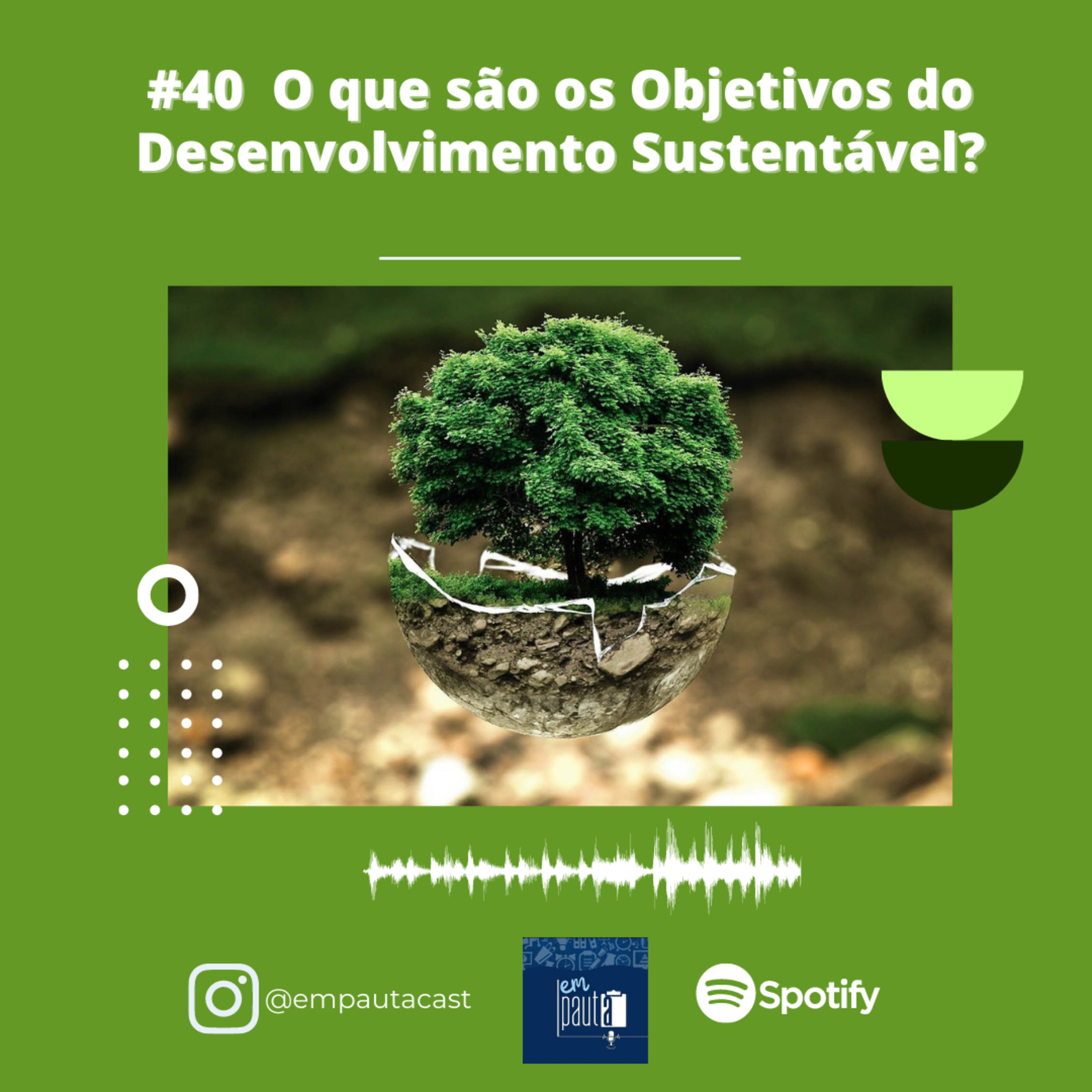 Em Pauta