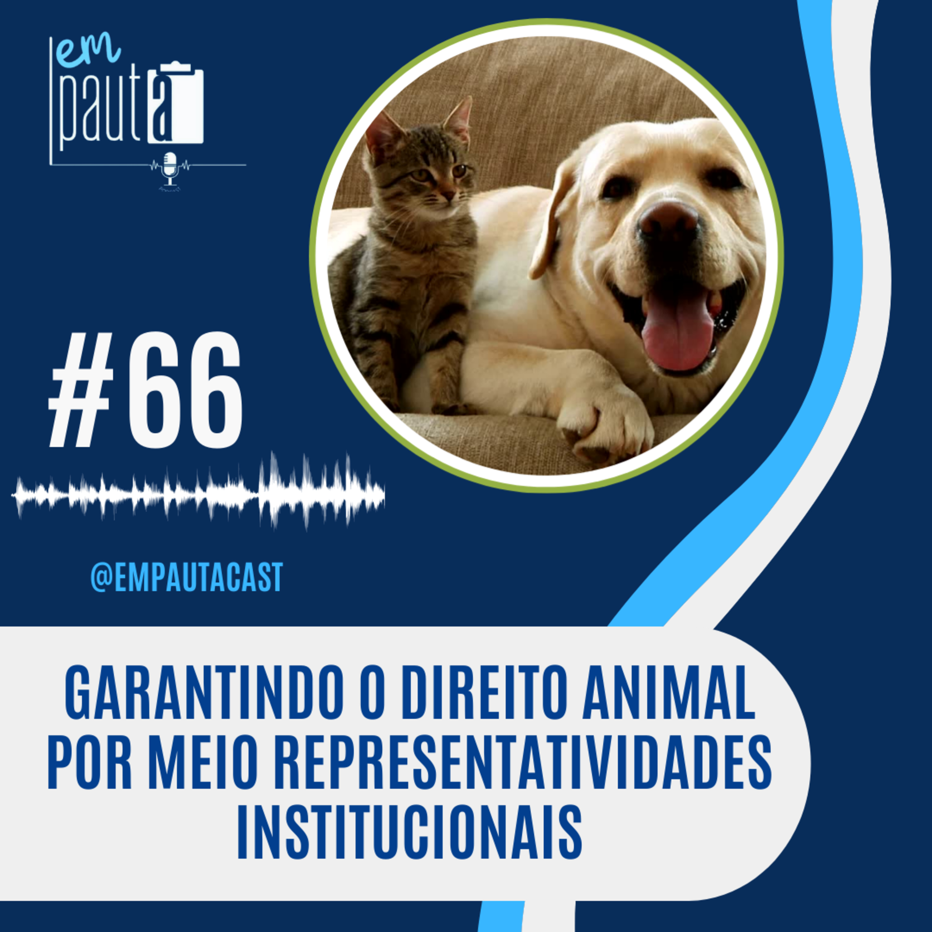 Em Pauta