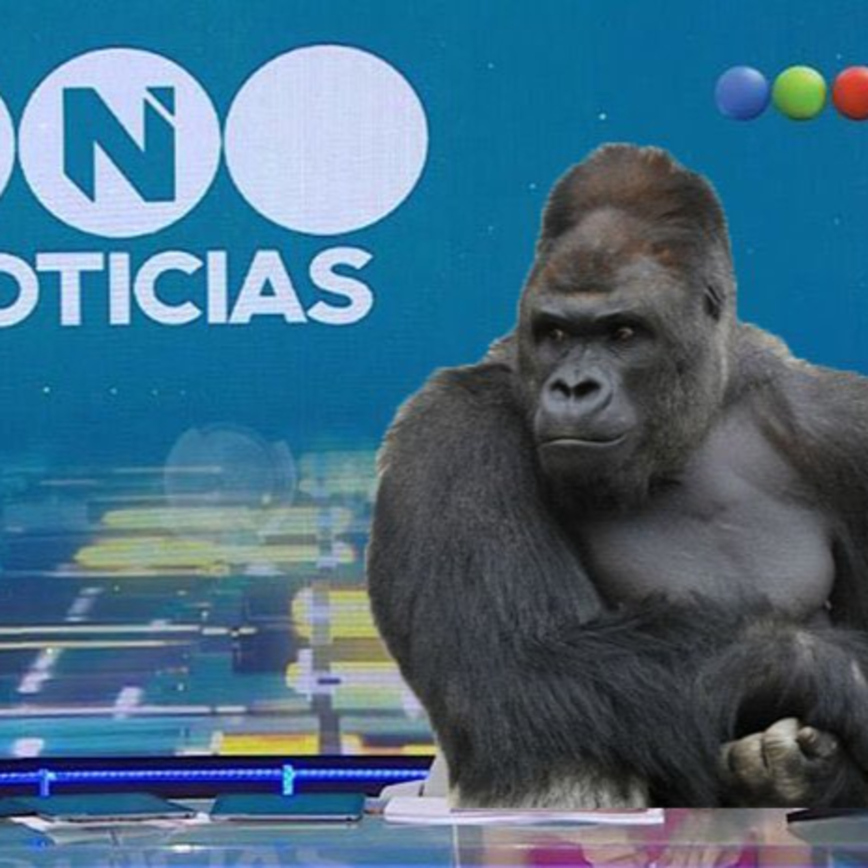 Resumen de medios | #TN 18-6 episode artwork