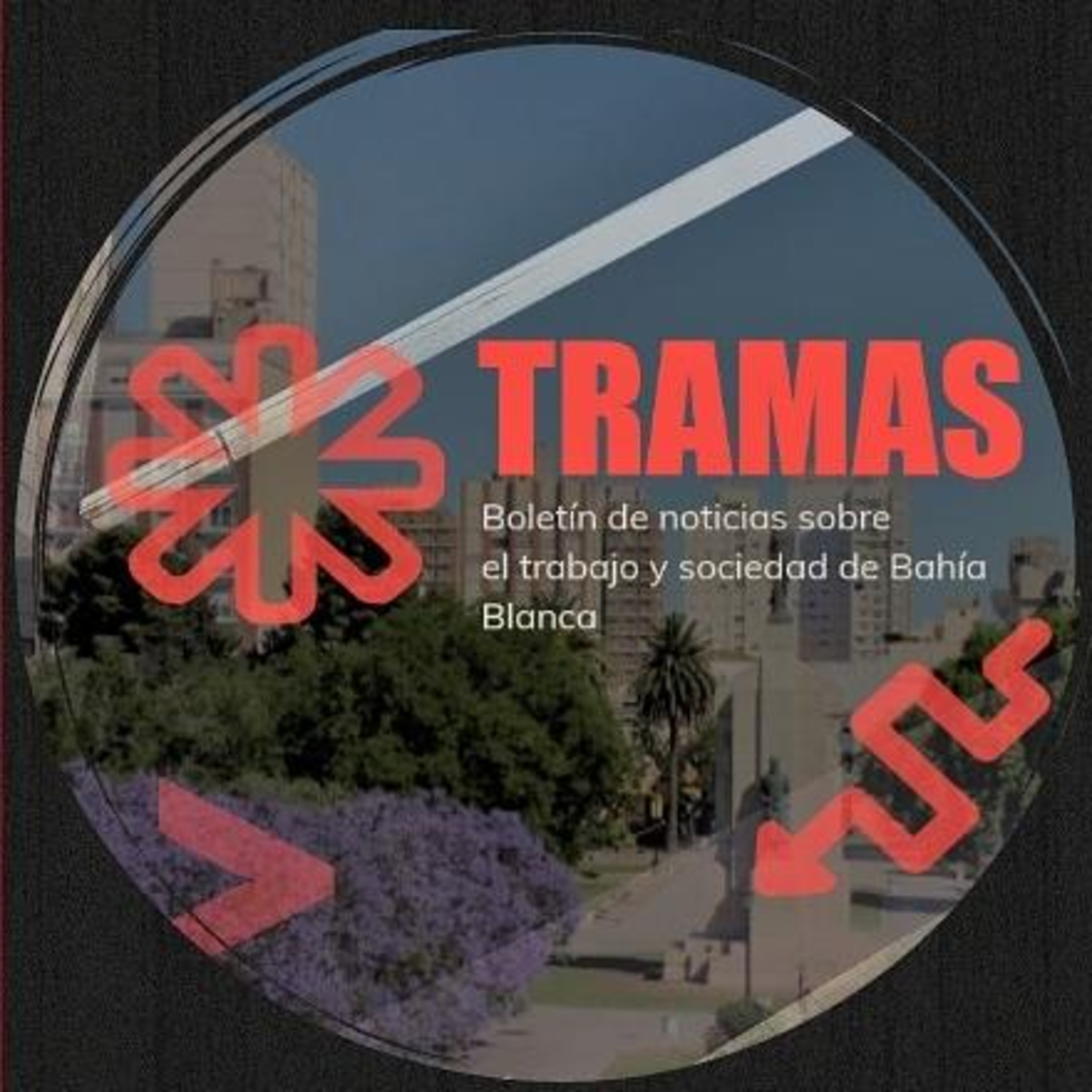Tramas Boletín | Segunda temporada en Total Normalidad  episode artwork