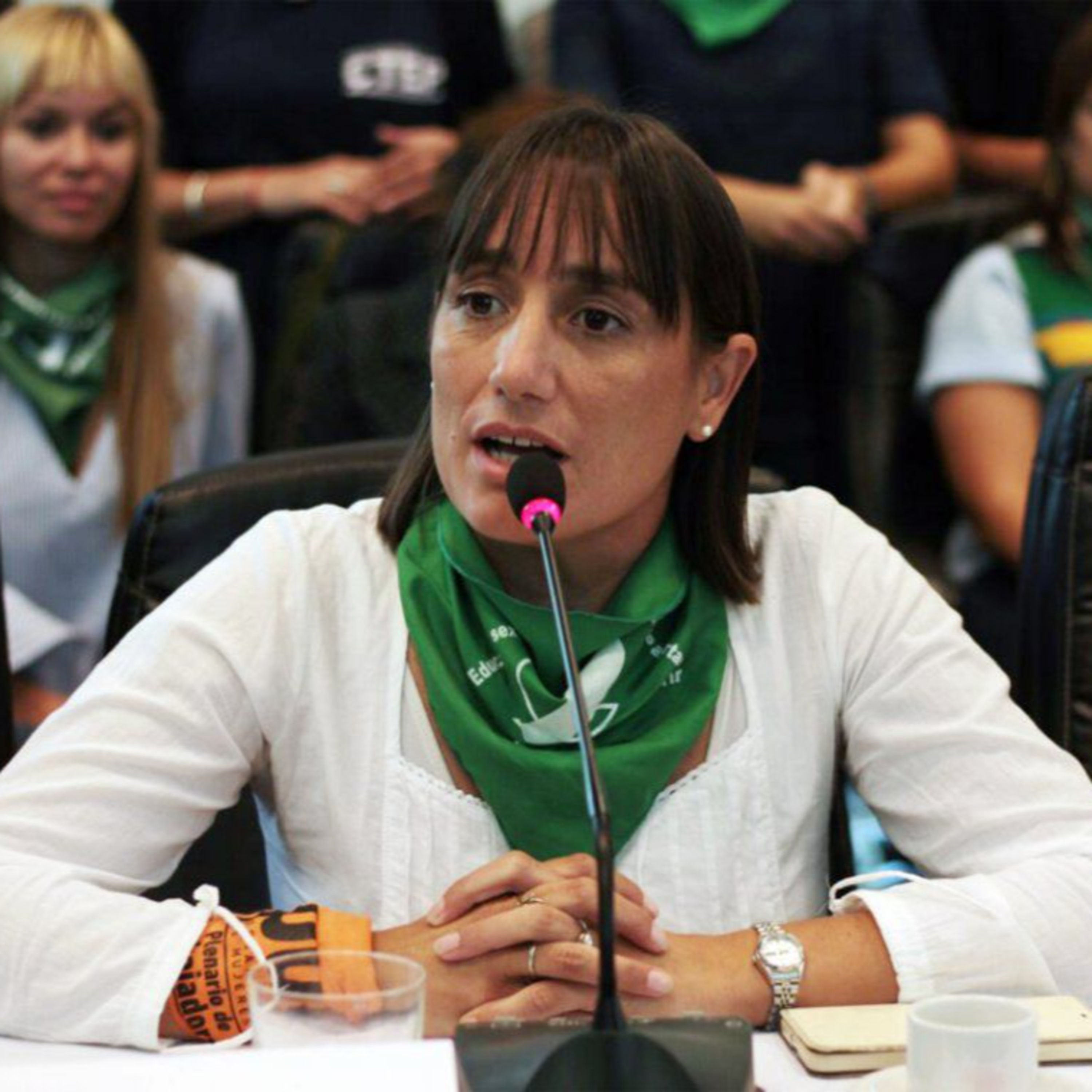 [NOTA] Romina del Plá, candidata a Diputada Nacional por el FIT-Unidad  episode artwork