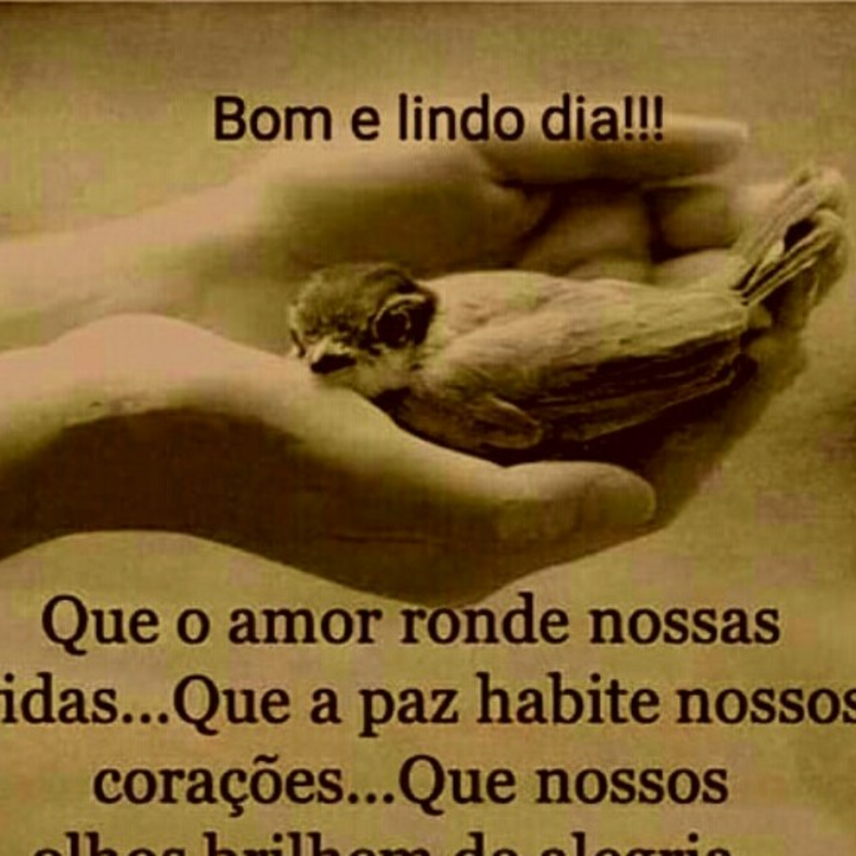 Explicação atividade de mate episode artwork