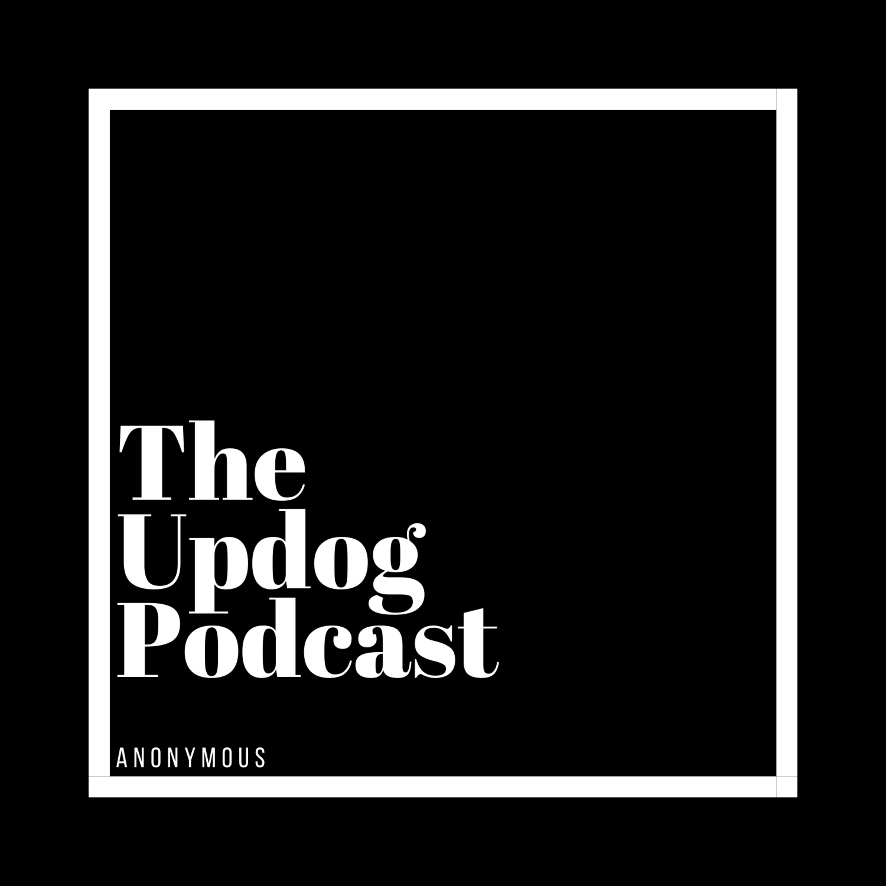 INTRODUCTION TO THE UPDOGS