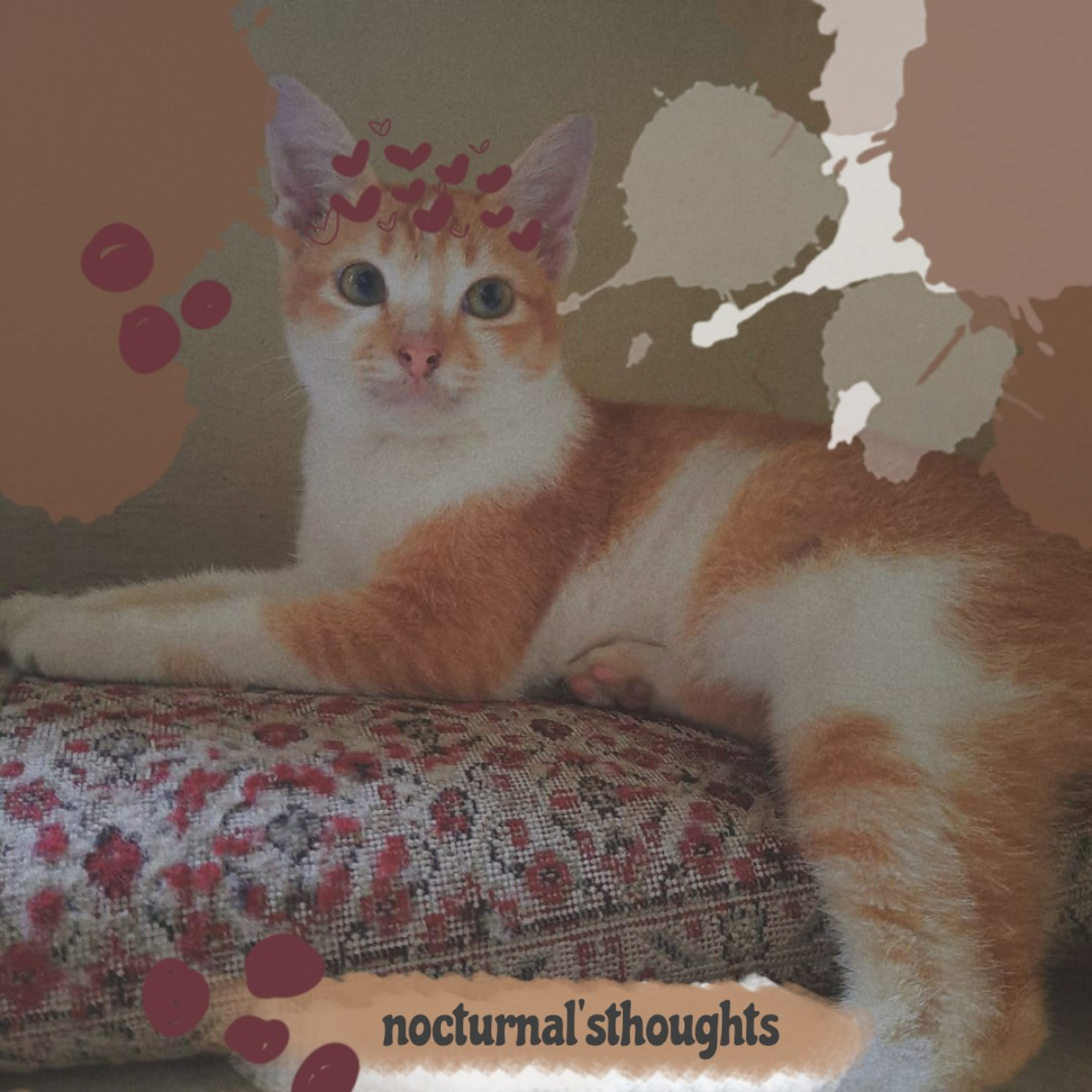 Nocturnal\'s Thoughts
