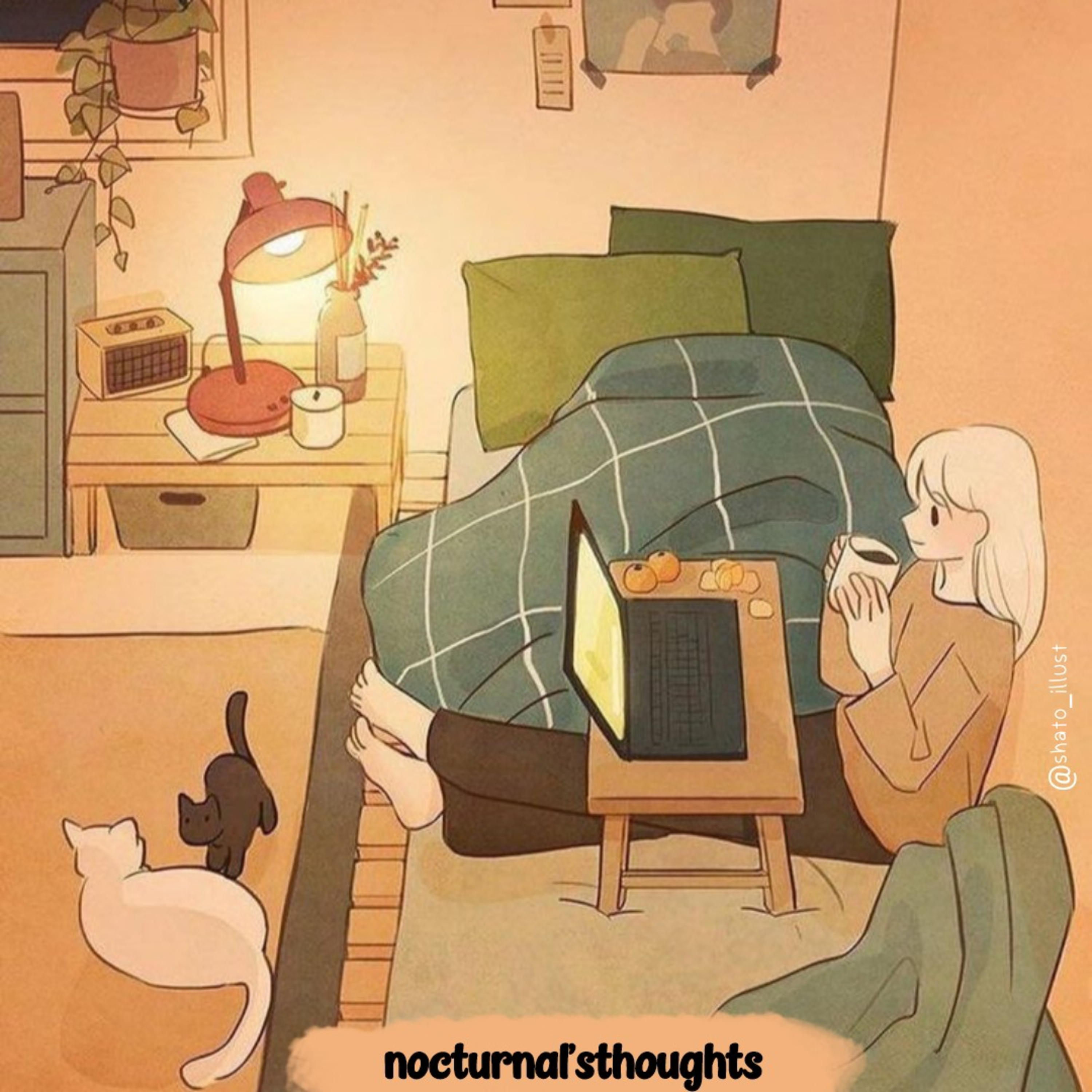 Nocturnal\'s Thoughts