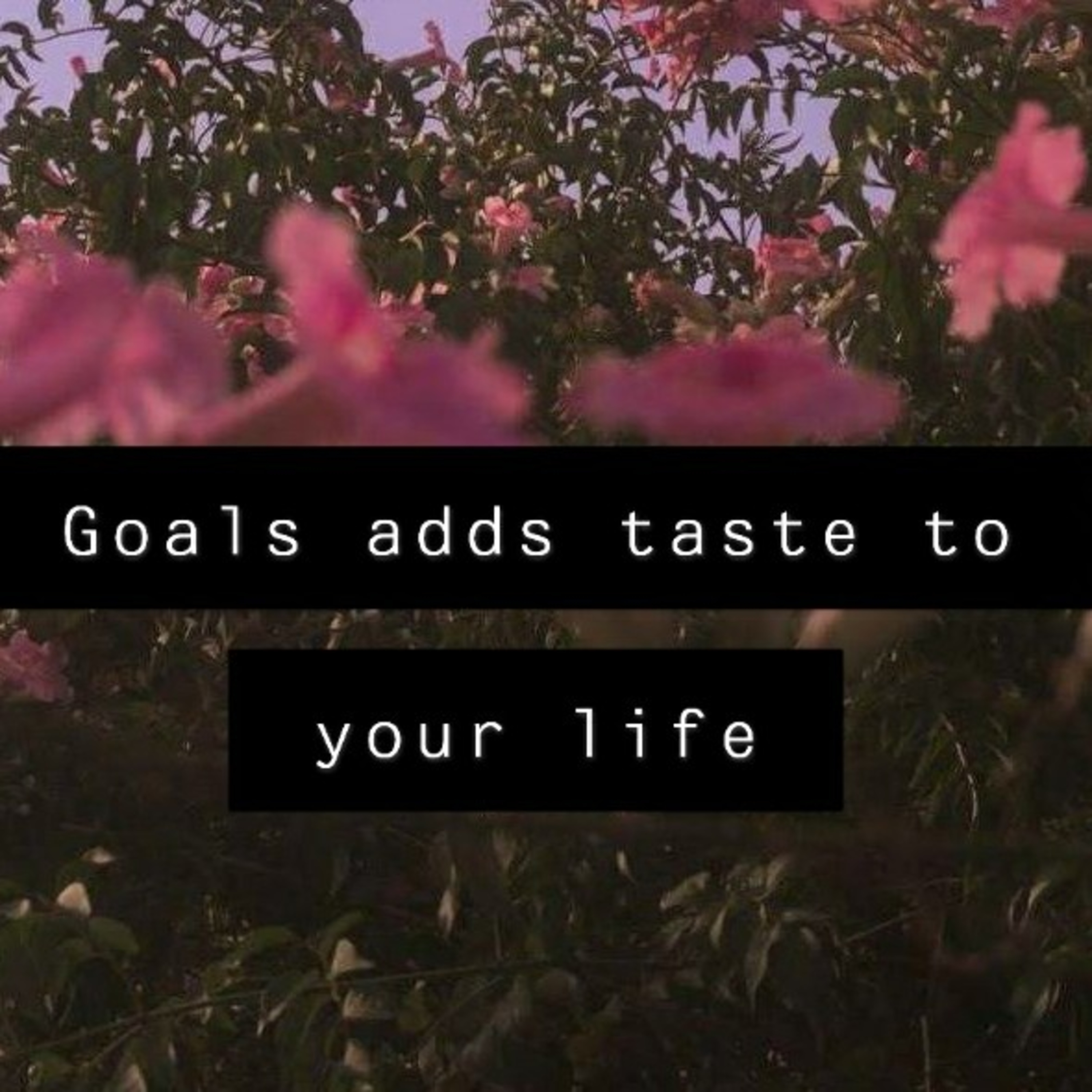 Goals add taste to your life~Part2 episode artwork