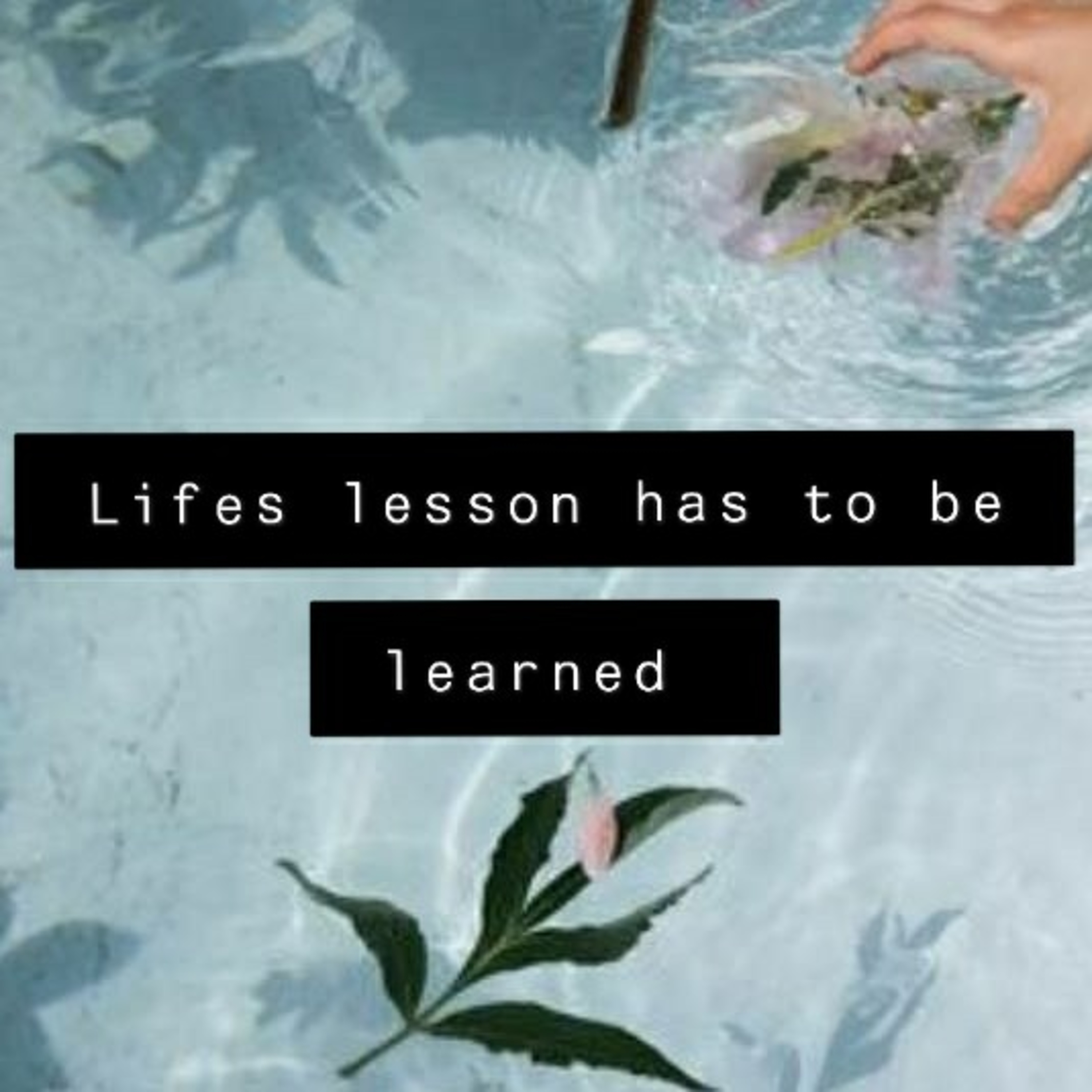 Lifes lessons has to be learned  episode artwork