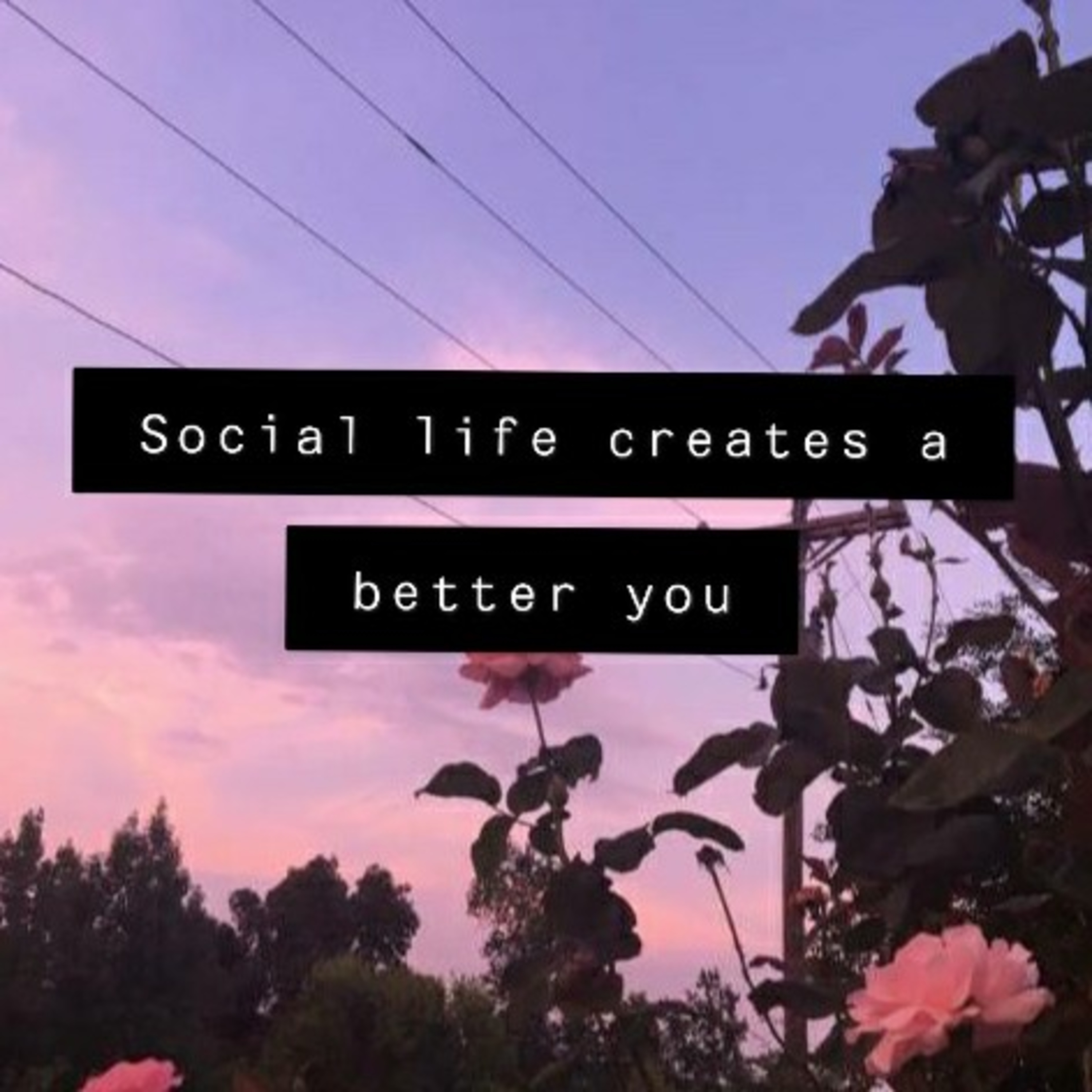 Social life creates a better you. episode artwork