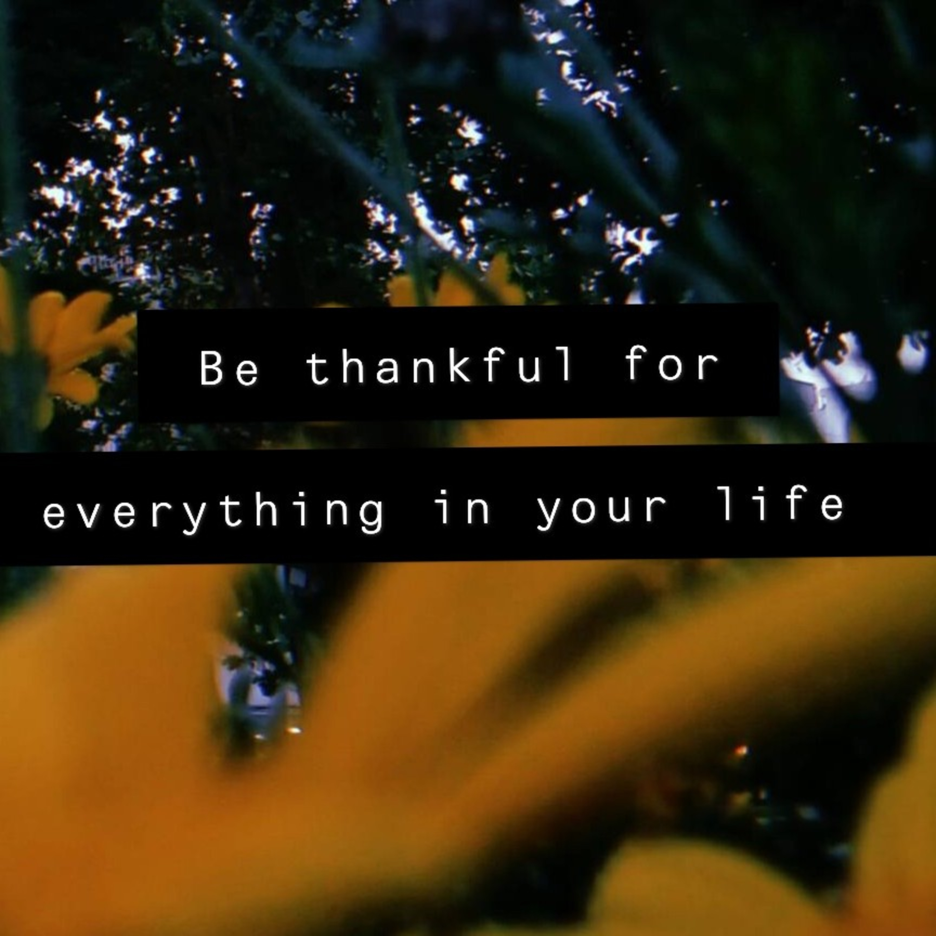 Be thankful for everything in your life.  episode artwork
