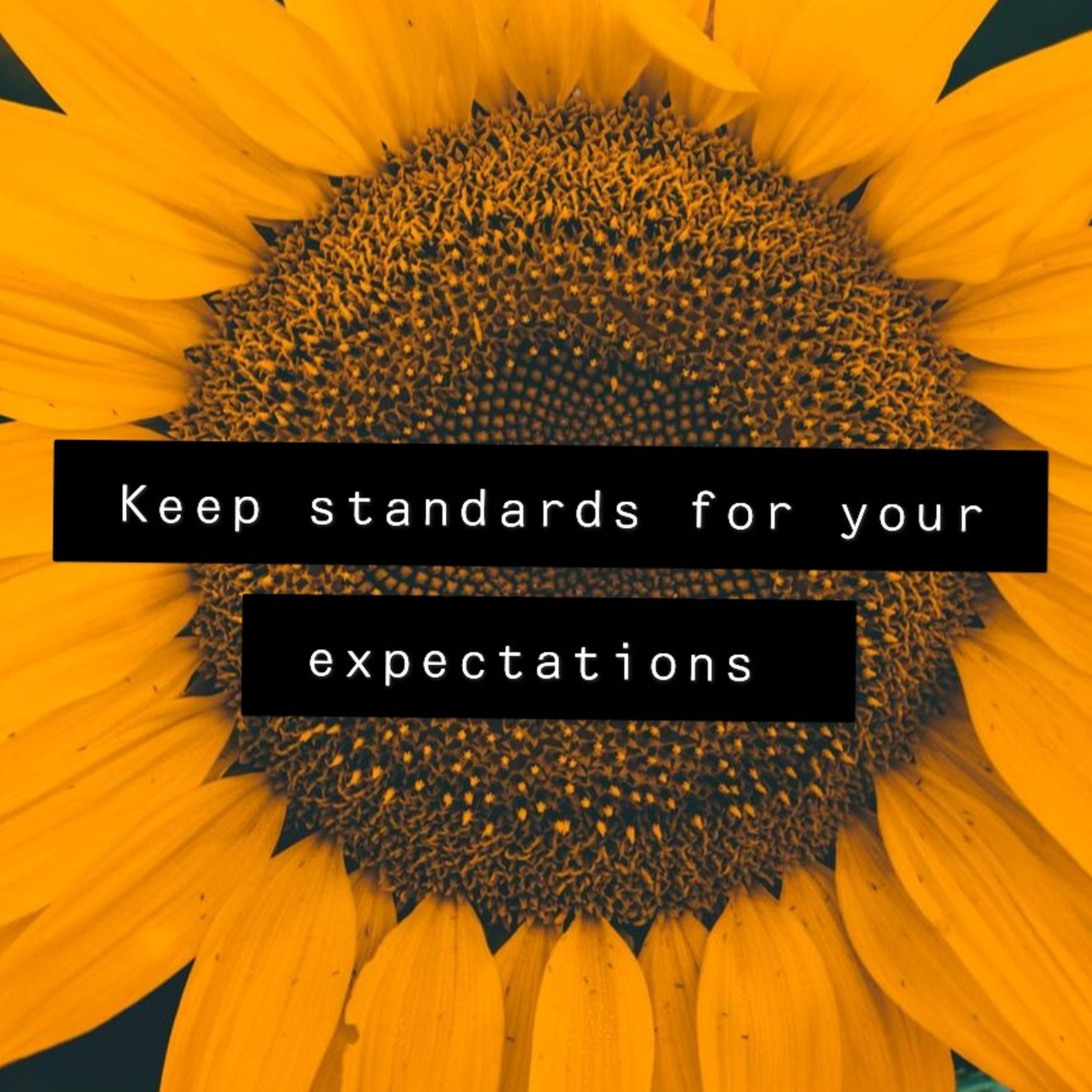 Keep standards for your expectations.  episode artwork
