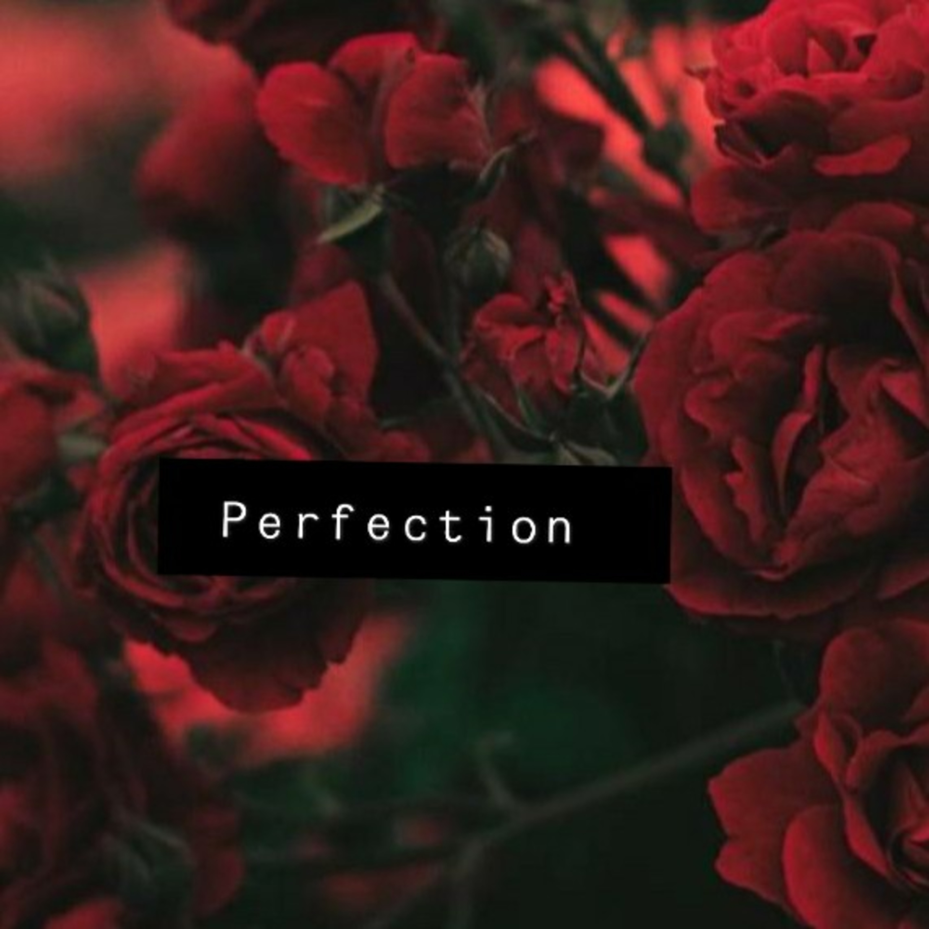 Perfection.  episode artwork