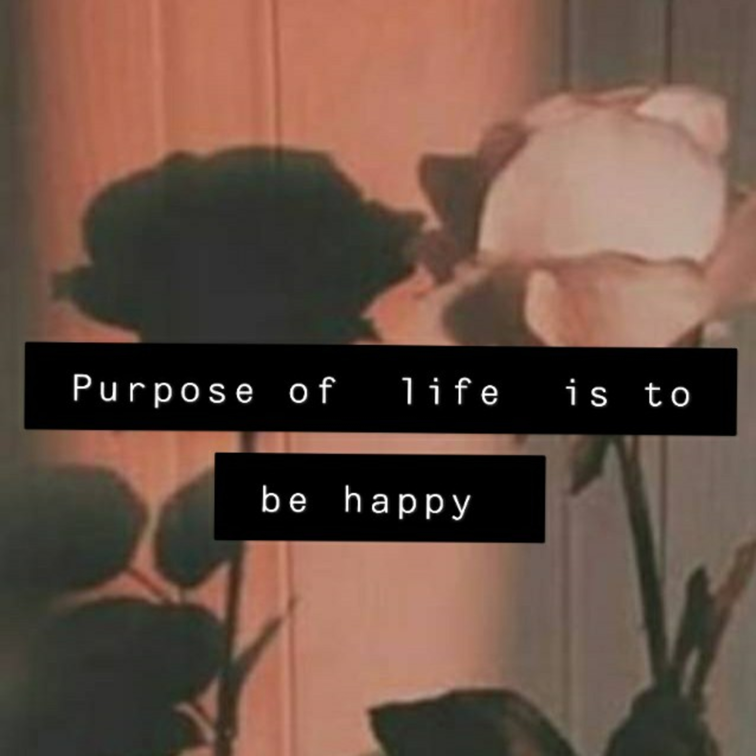 Purpose of life is to be happy. episode artwork