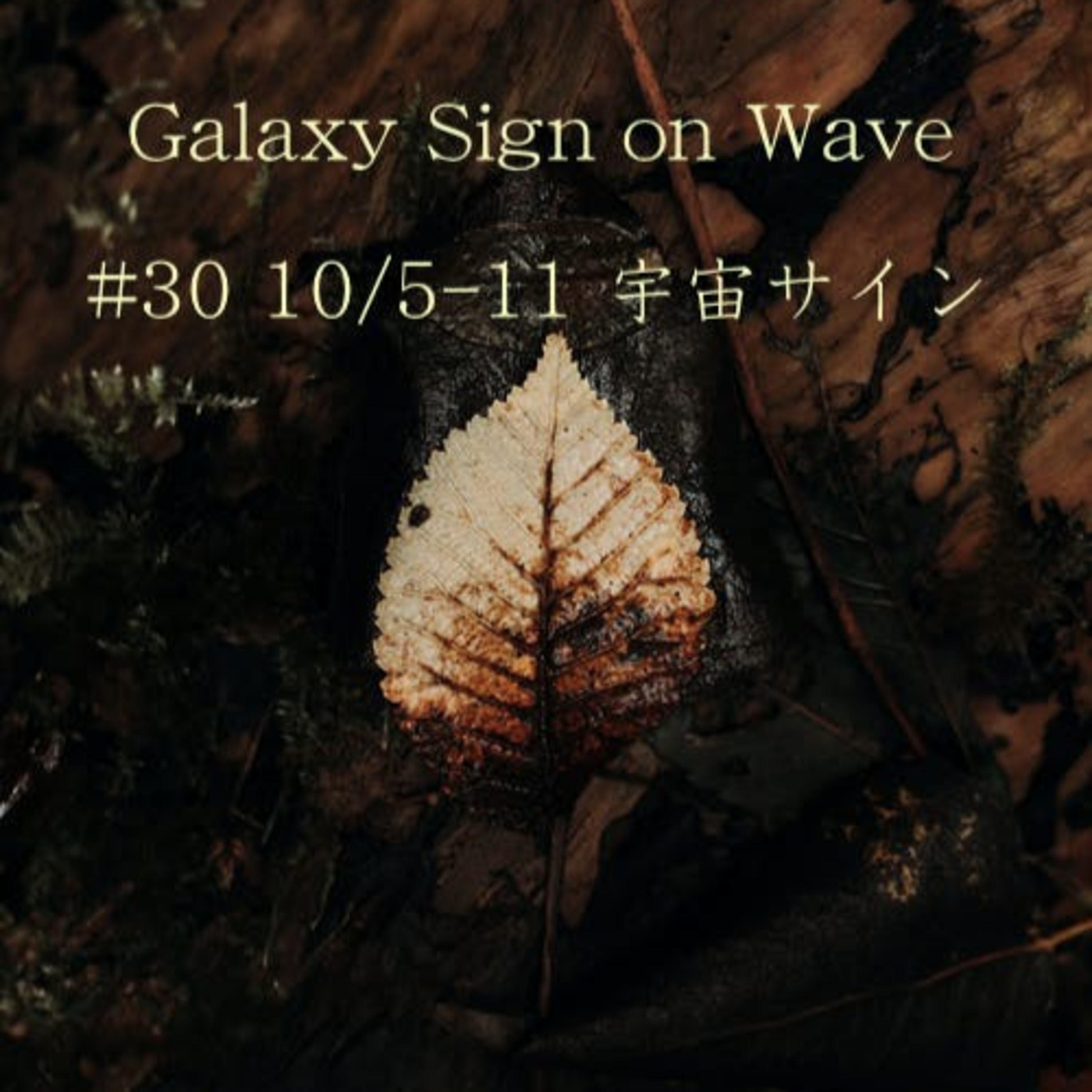 #30 10/5-11宇宙サイン episode artwork