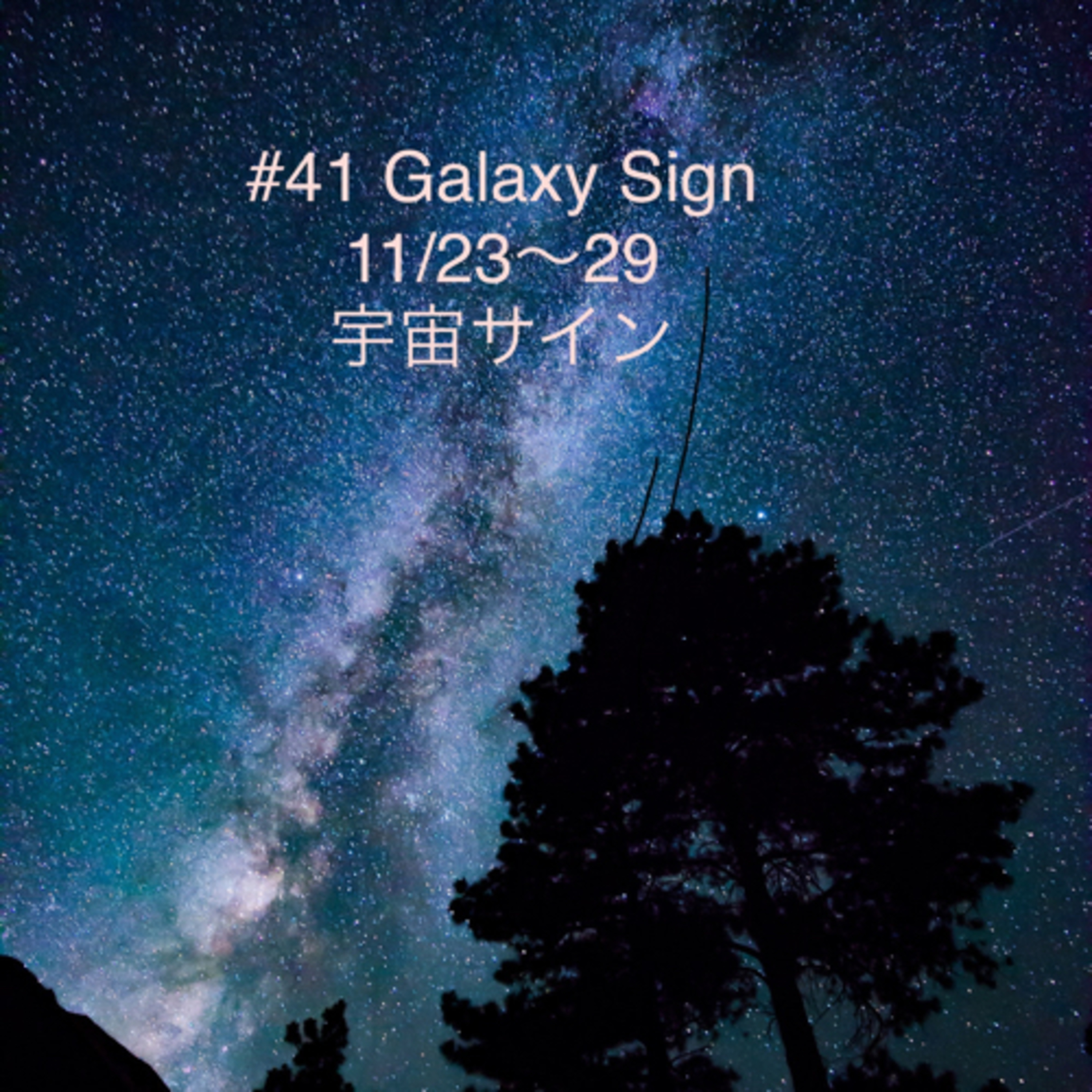 #41 11/23〜29 宇宙サイン episode artwork