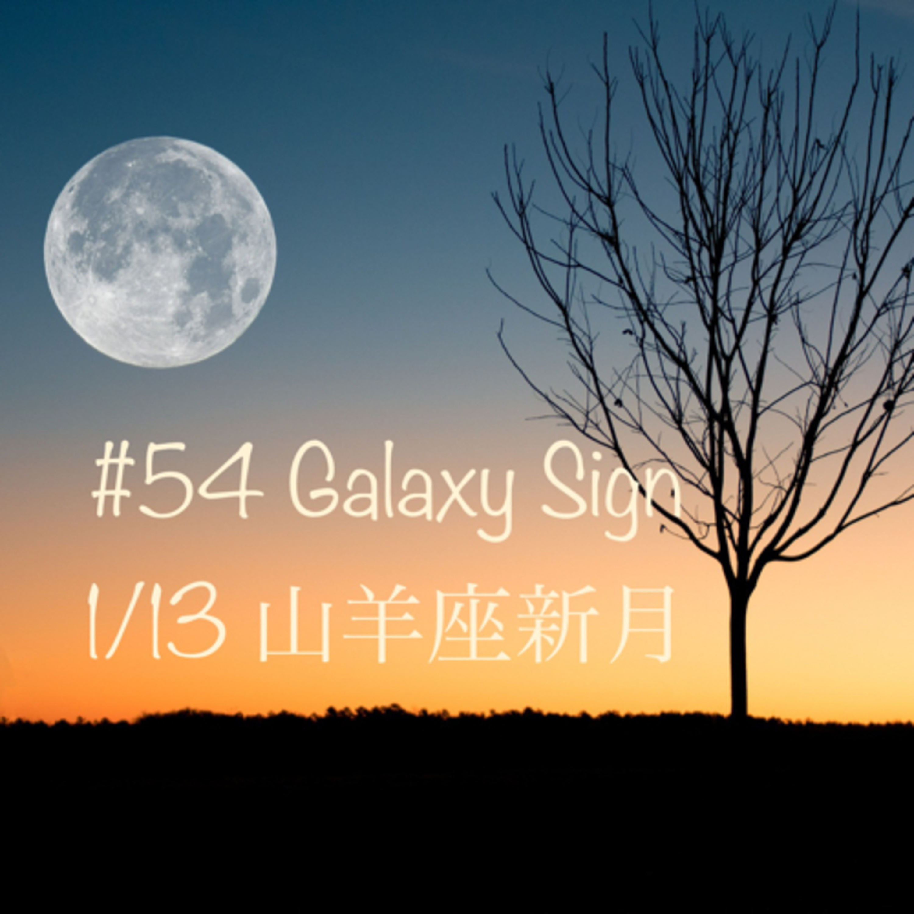 #54 1/13山羊座新月 宇宙サイン episode artwork