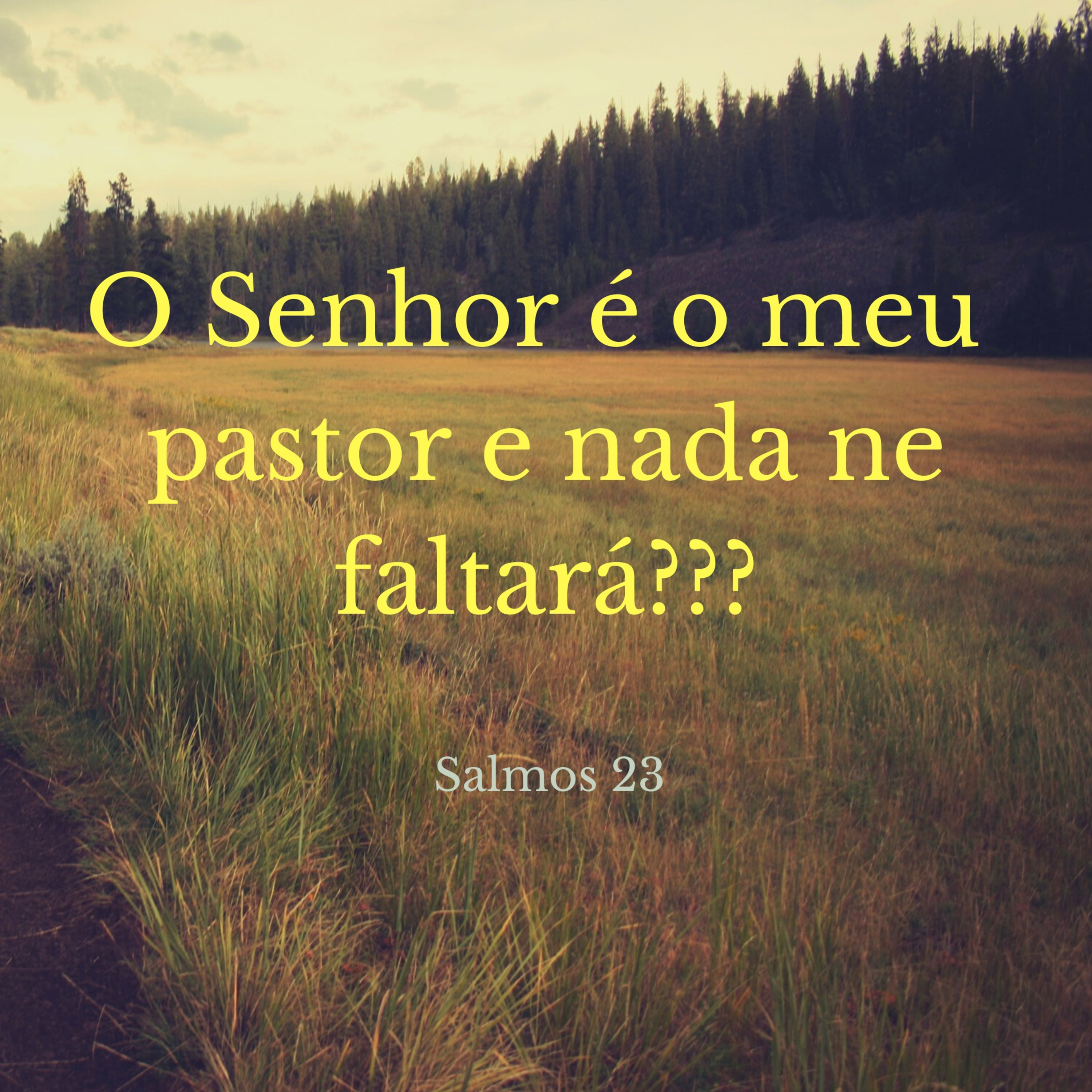 Salmos 23 episode artwork