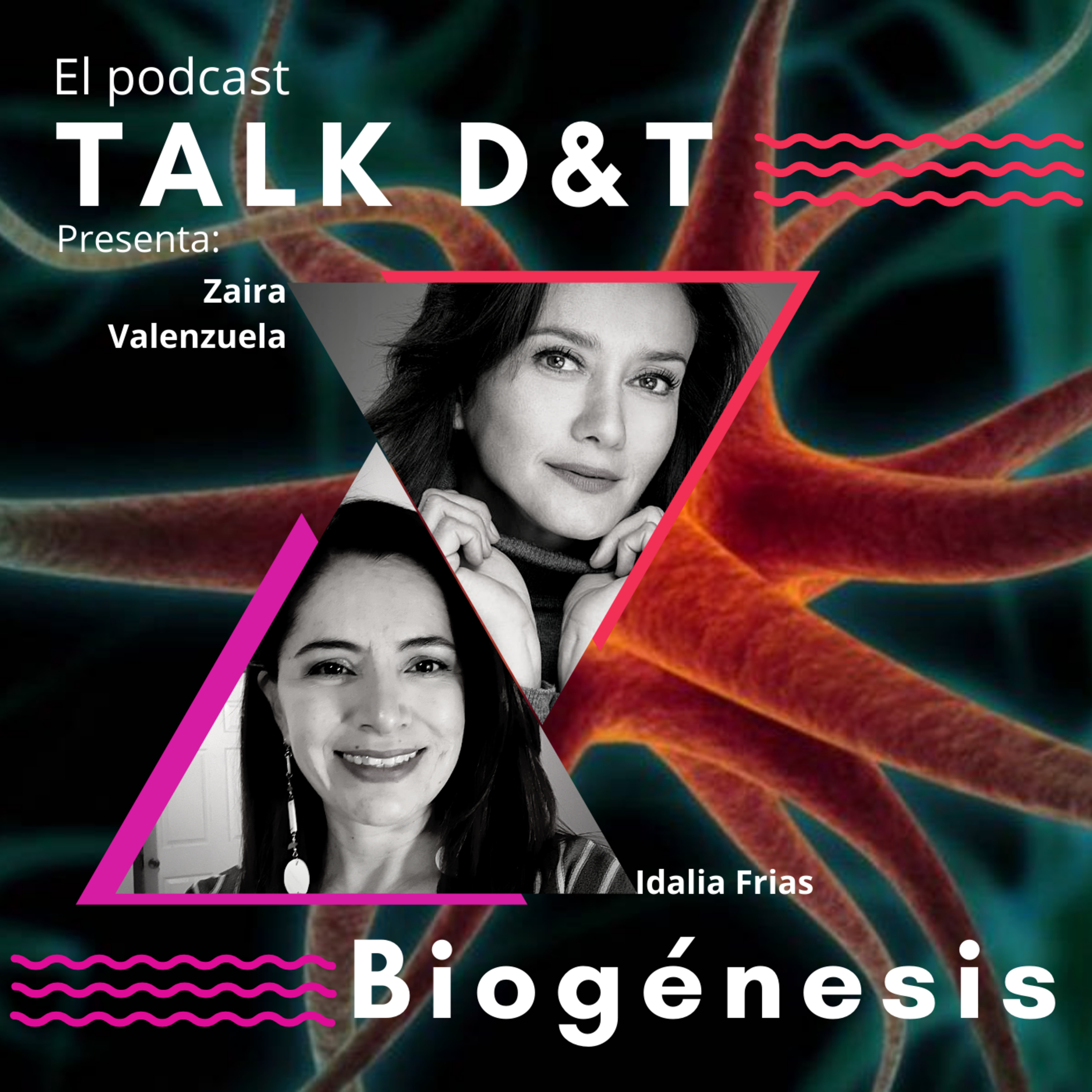 Talk D&T