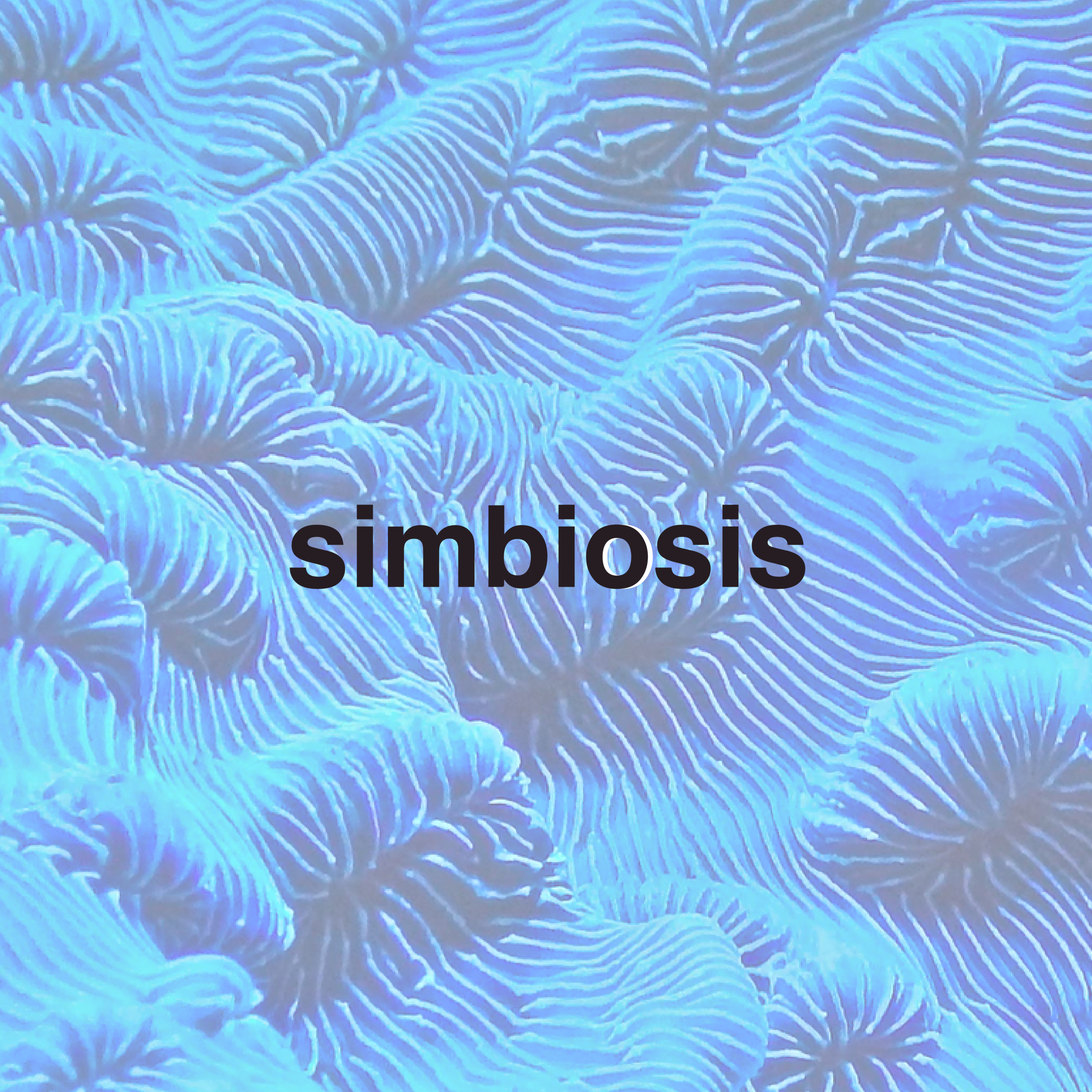 simbiosis