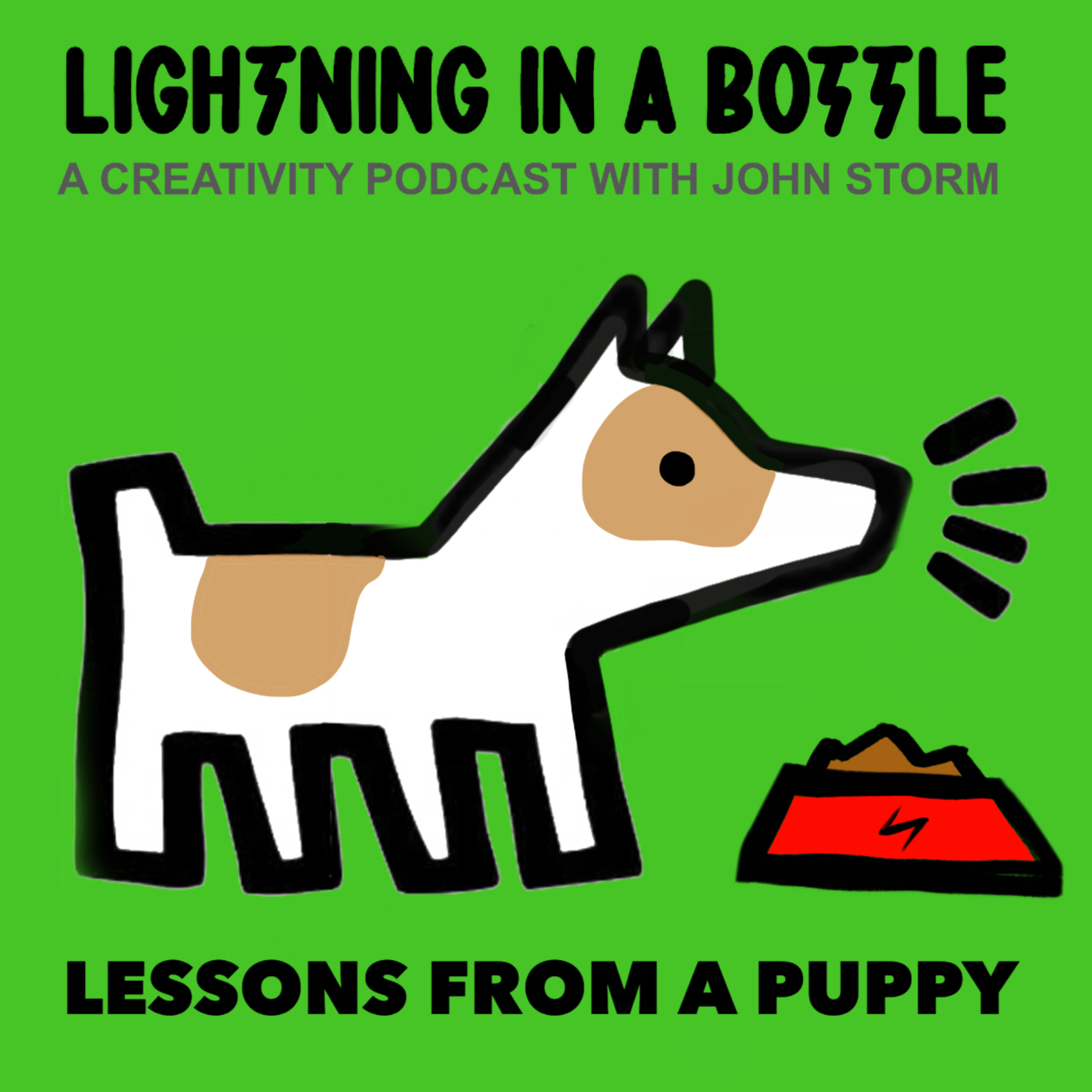 7 - Creative Lessons from a Puppy