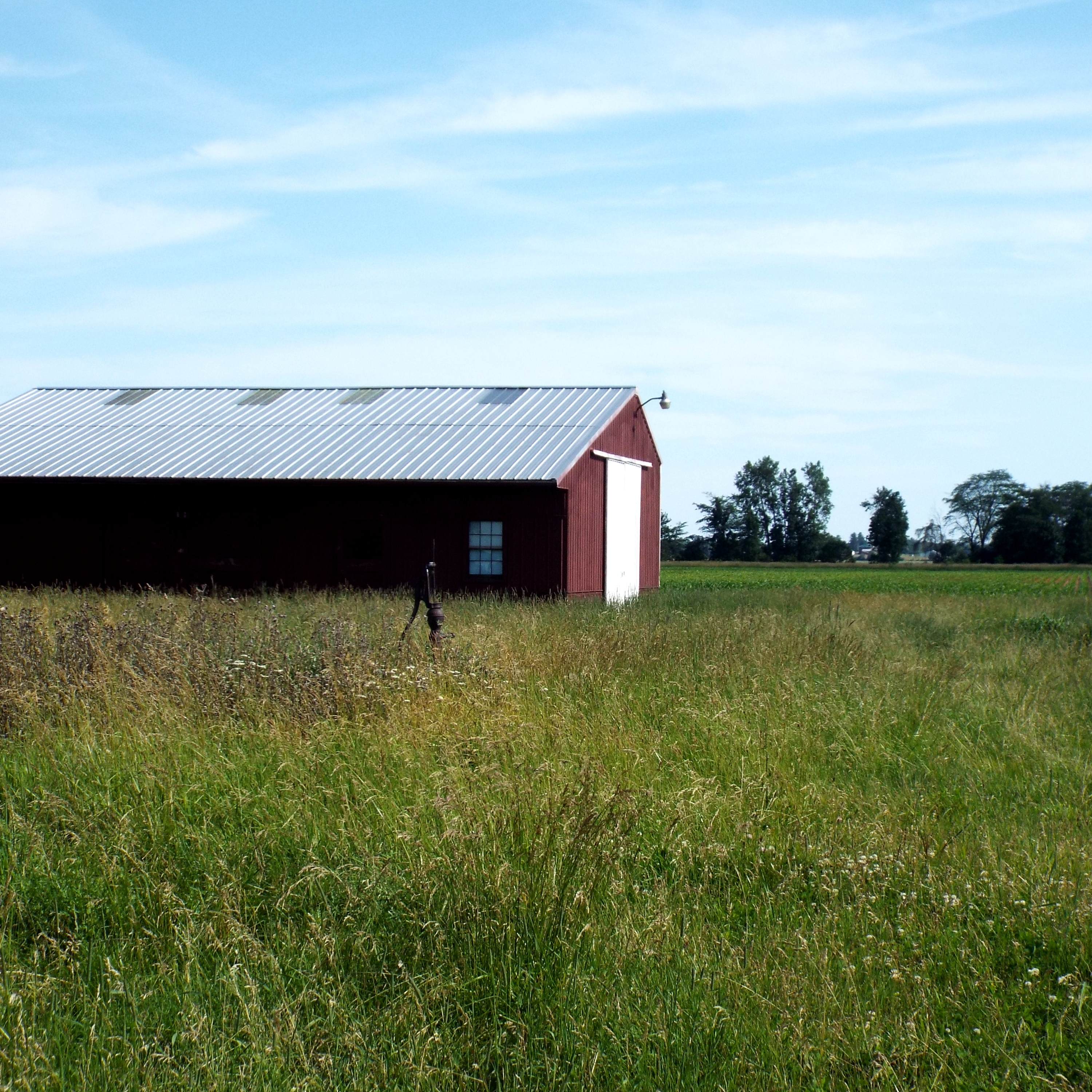 Navigating the World of Ag Ed 