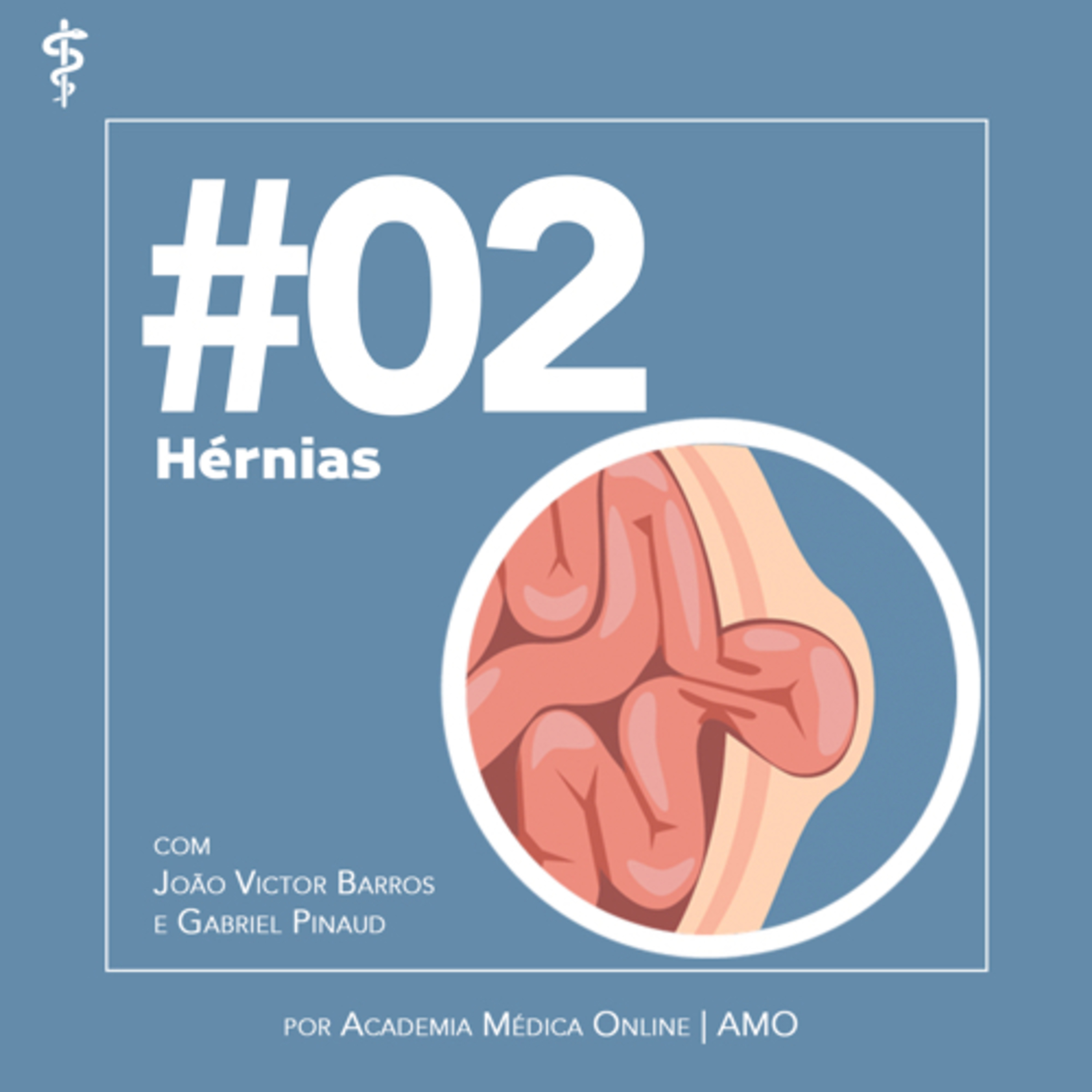 #02: Hérnias