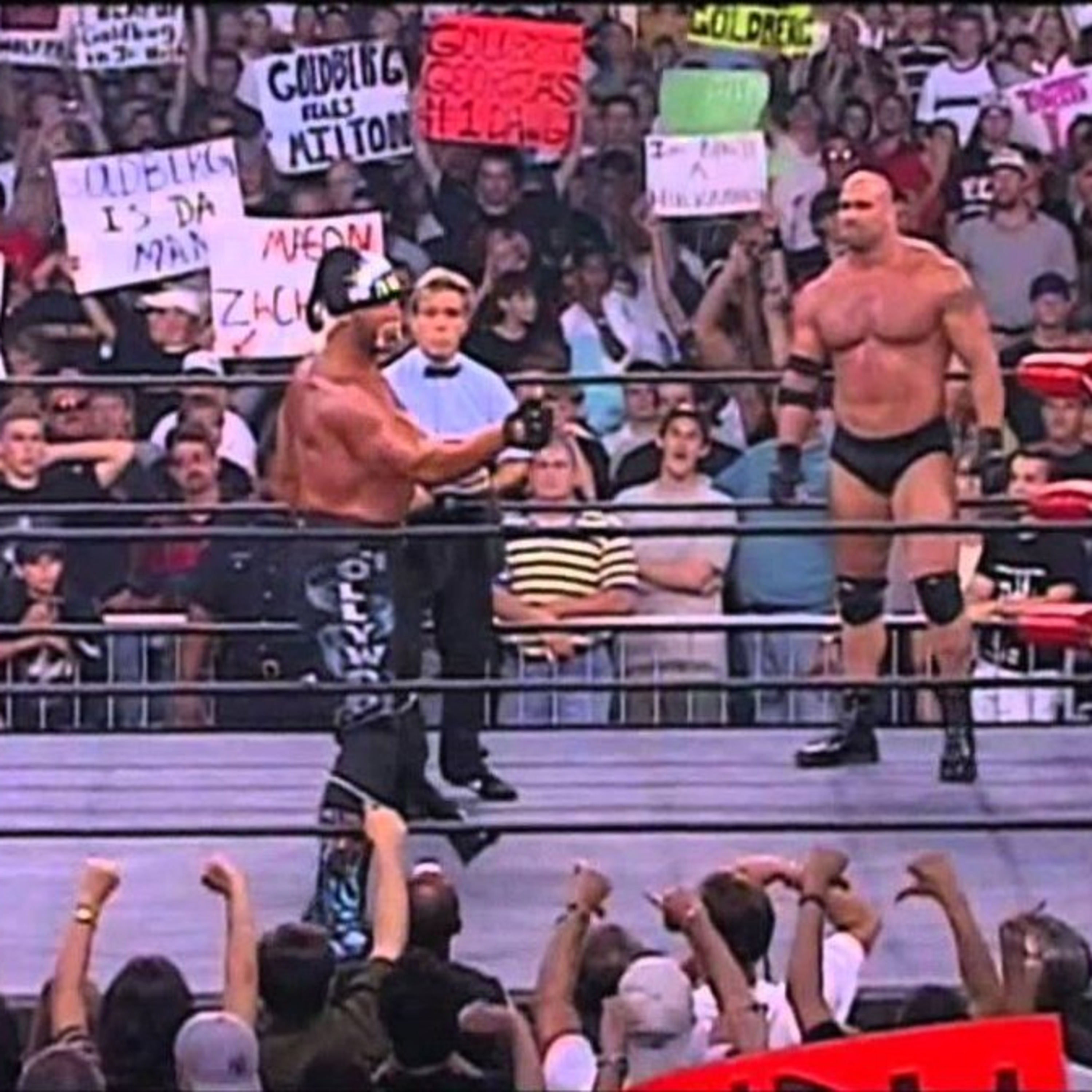 Diary of a Wrestling Fan