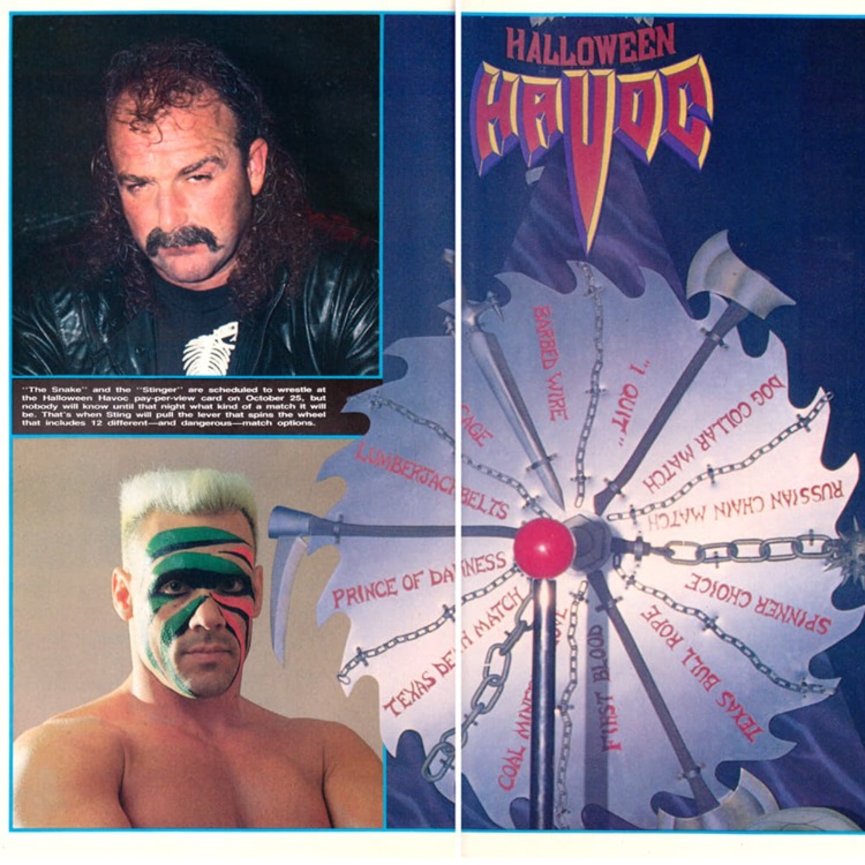 Diary of a Wrestling Fan