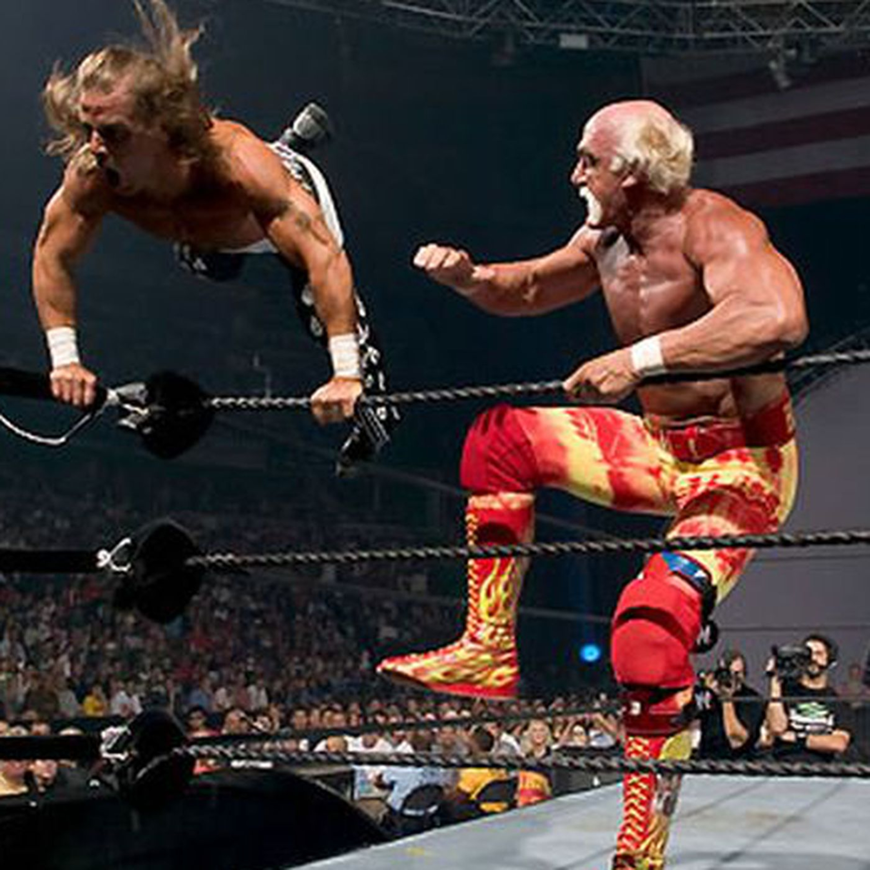 Diary of a Wrestling Fan