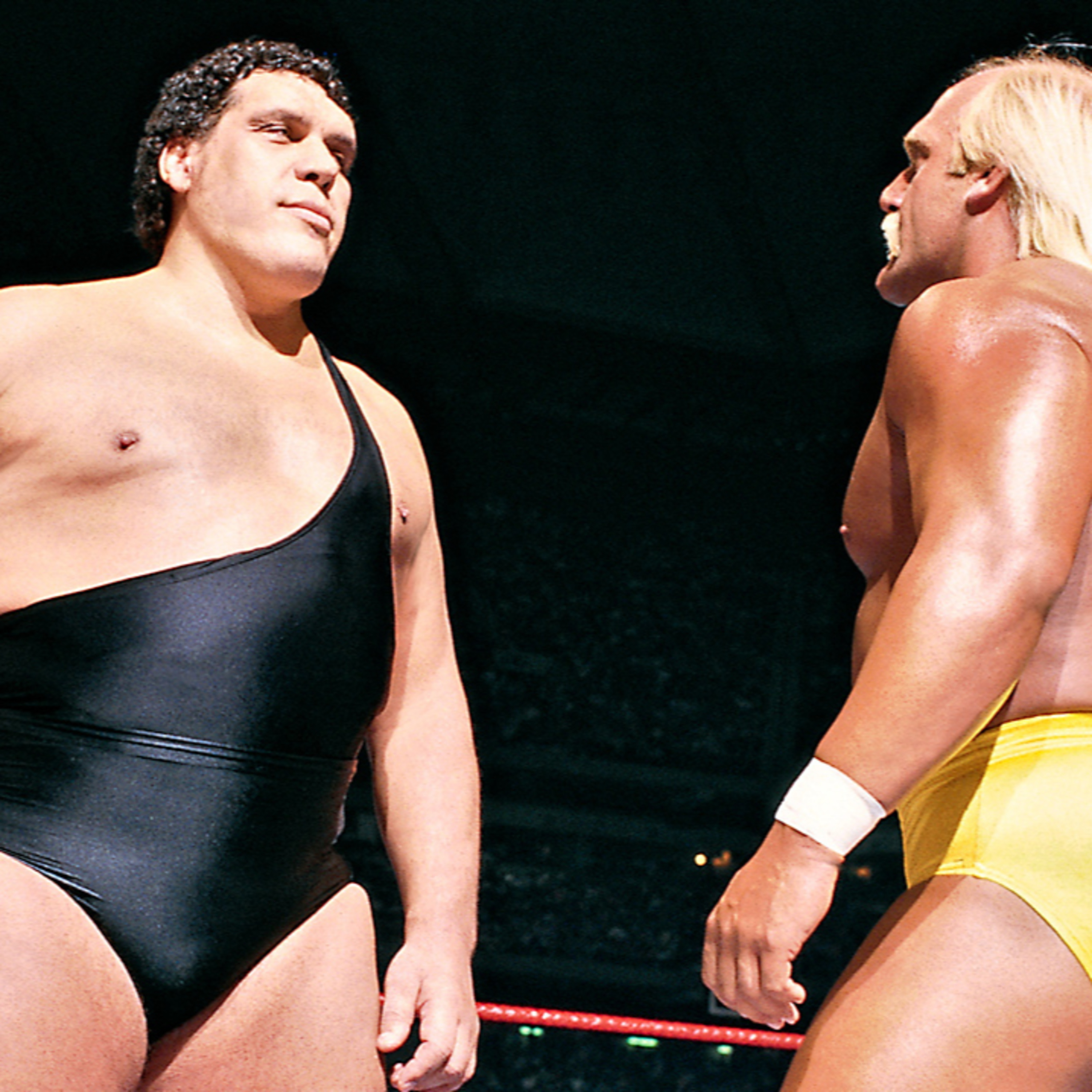 Diary of a Wrestling Fan