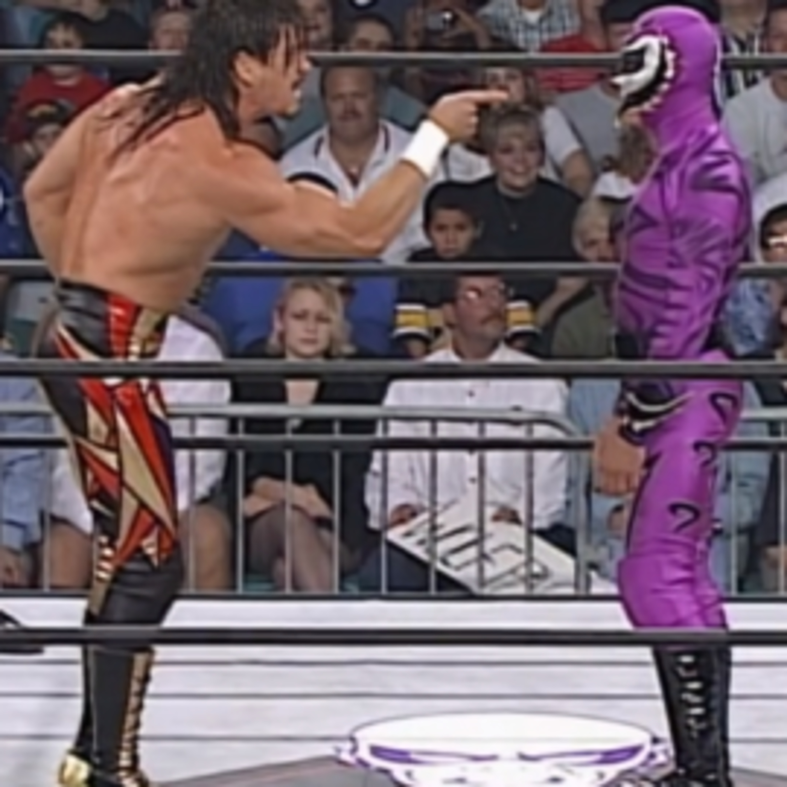 Diary of a Wrestling Fan