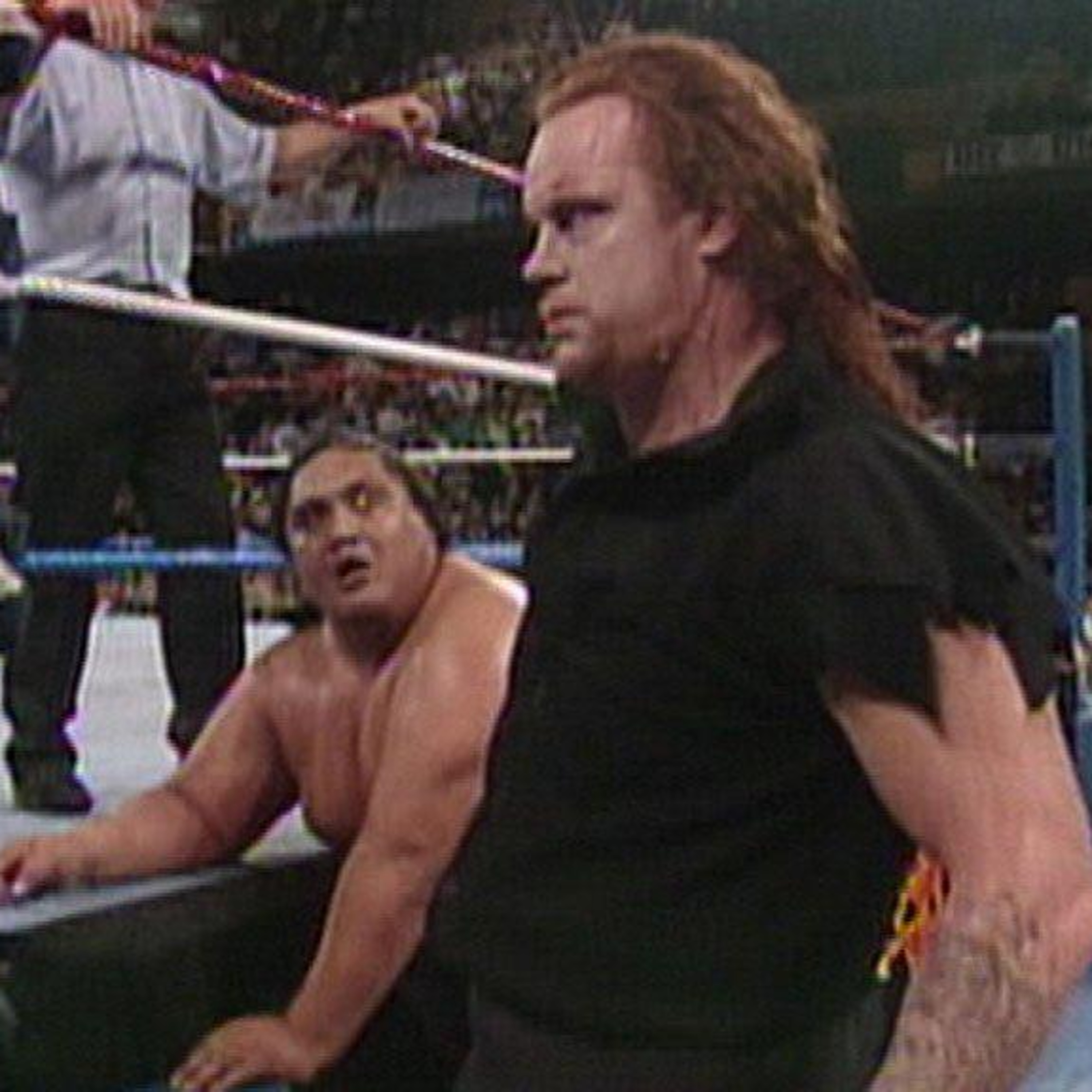 Diary of a Wrestling Fan