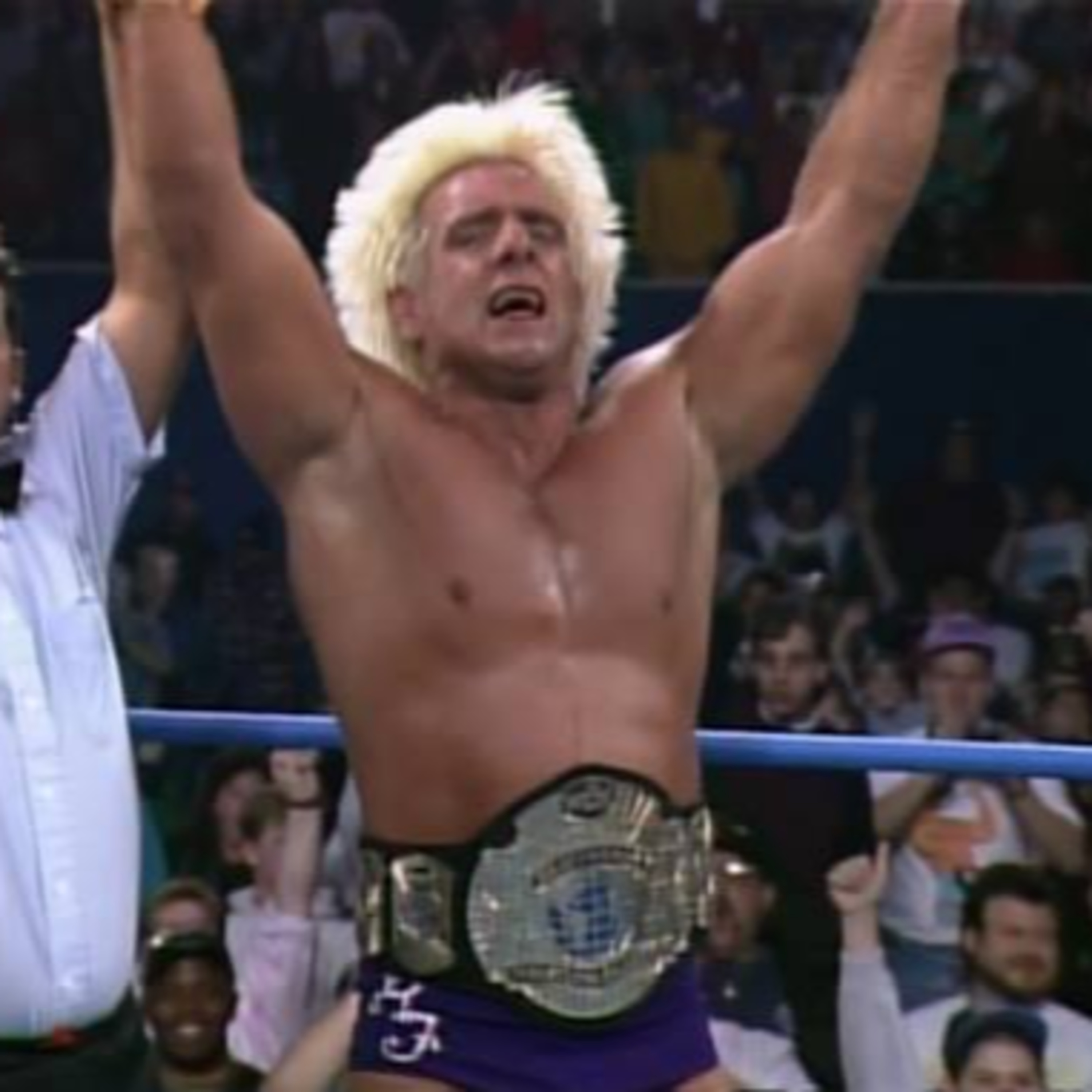 Diary of a Wrestling Fan