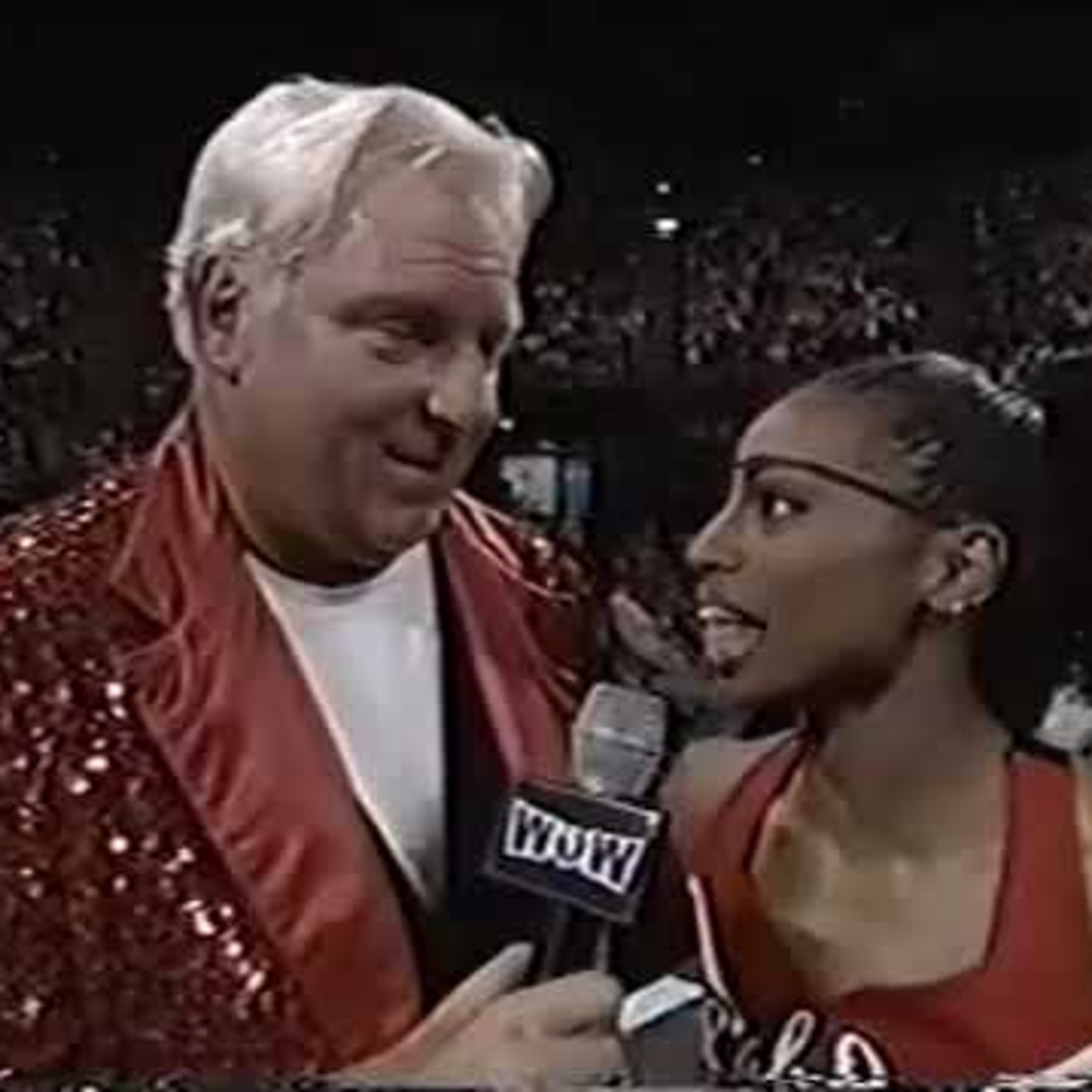 Diary of a Wrestling Fan