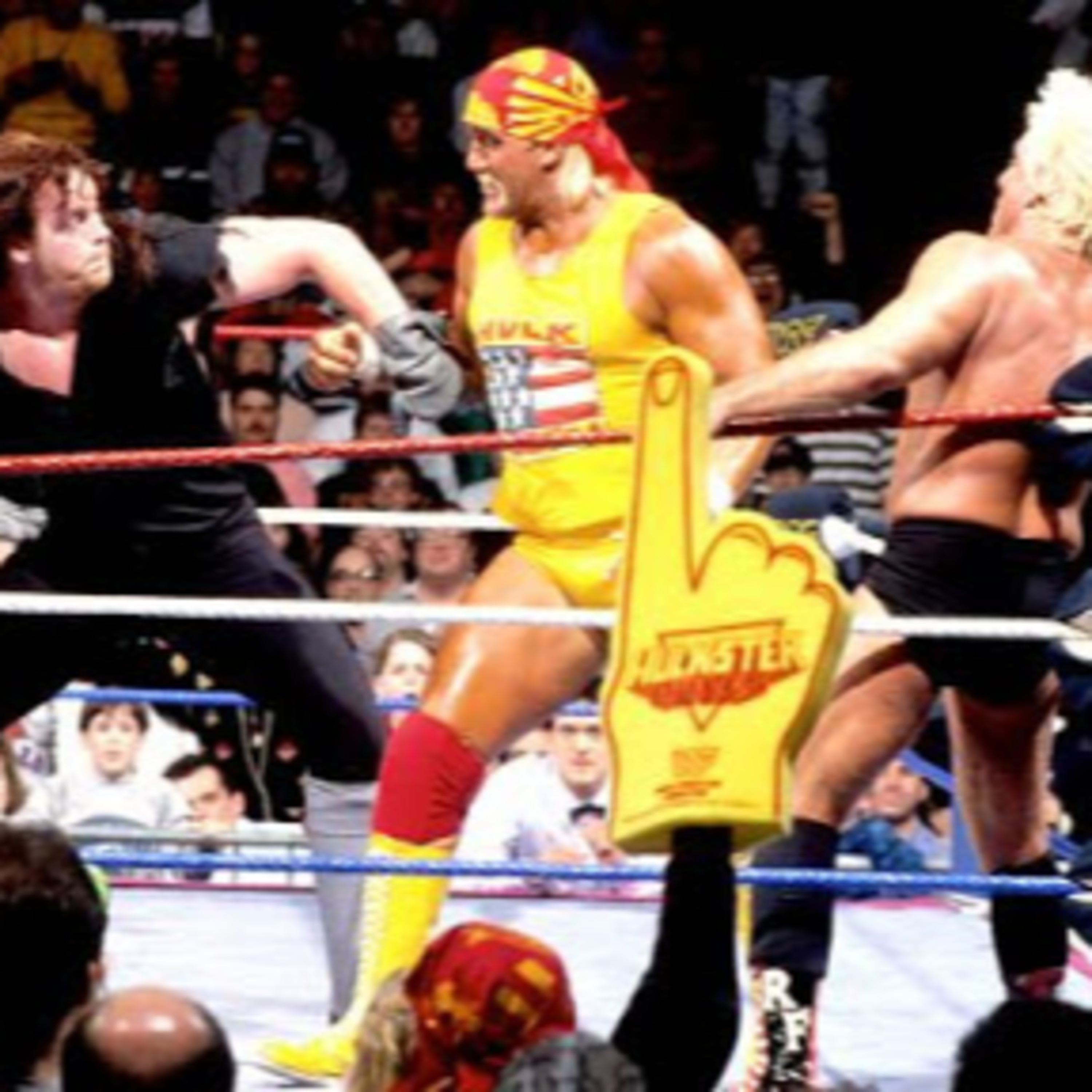 Diary of a Wrestling Fan