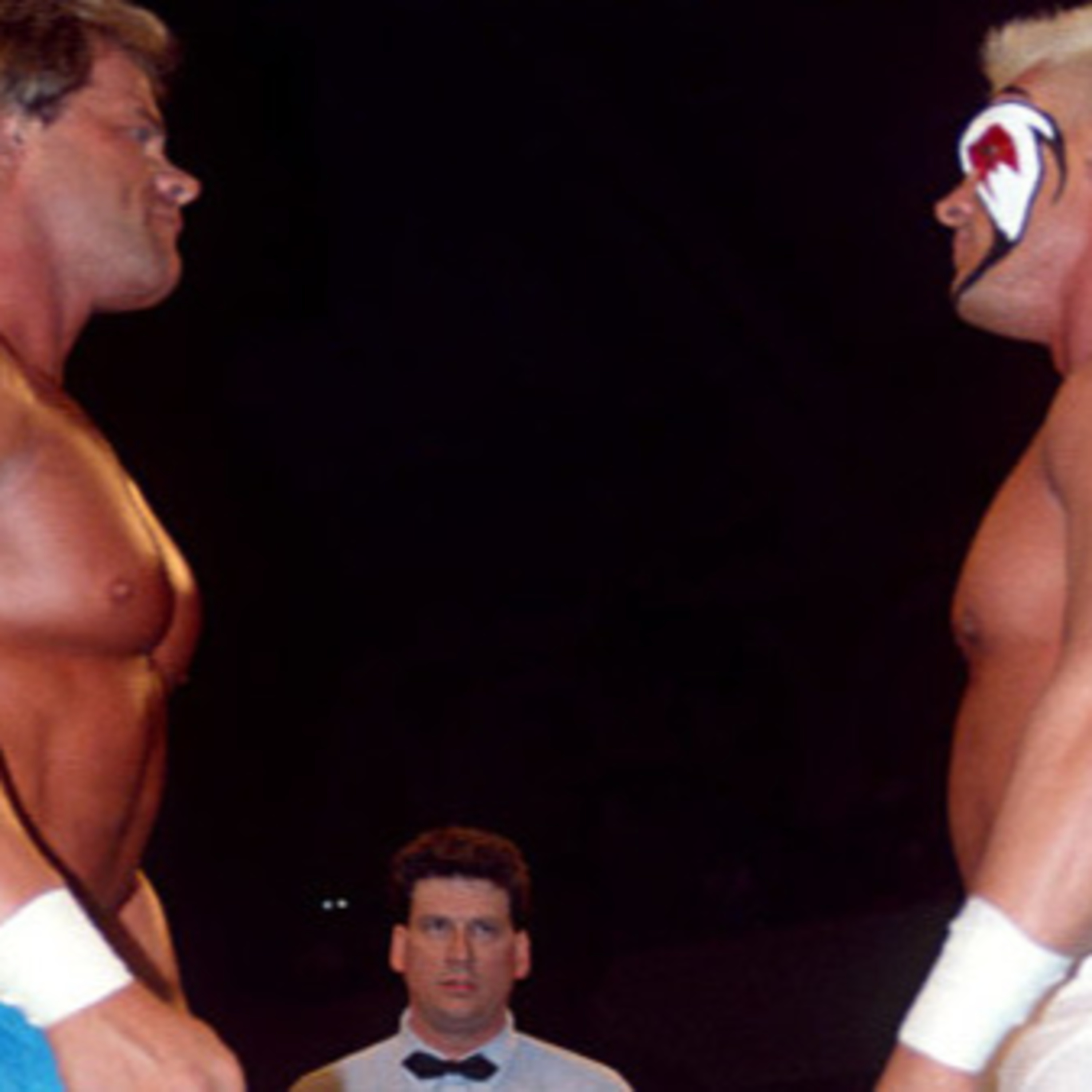 Diary of a Wrestling Fan