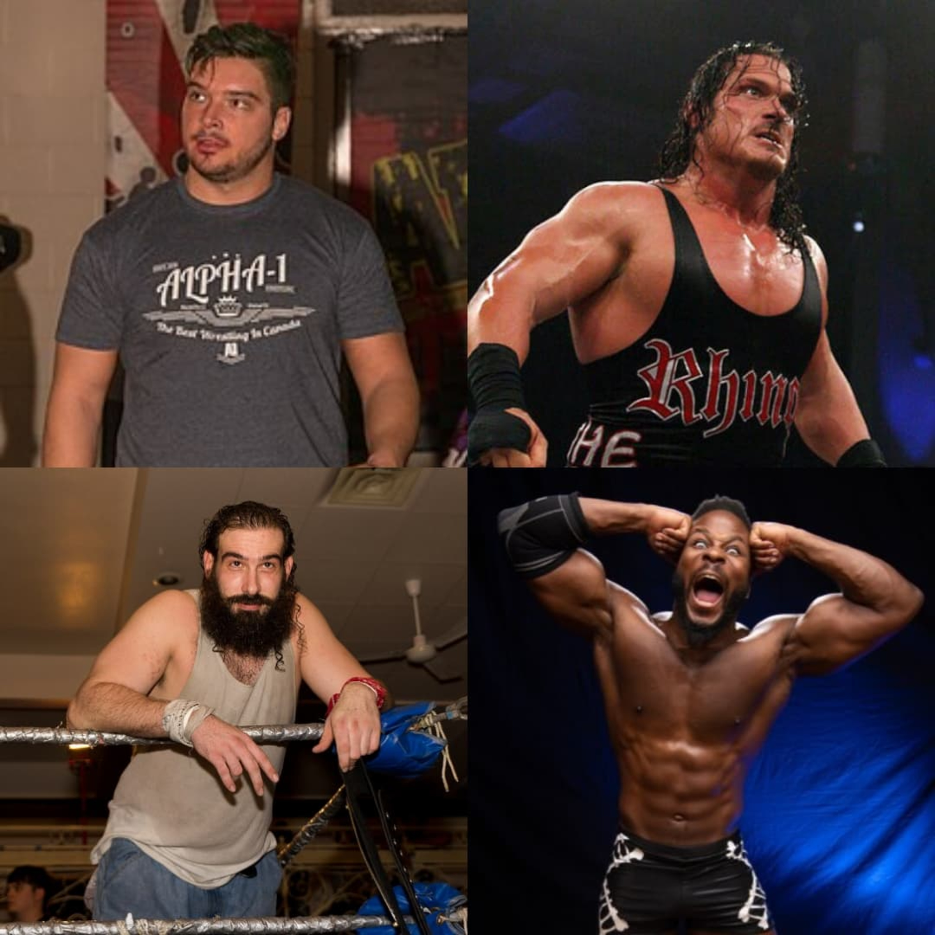 Diary of a Wrestling Fan