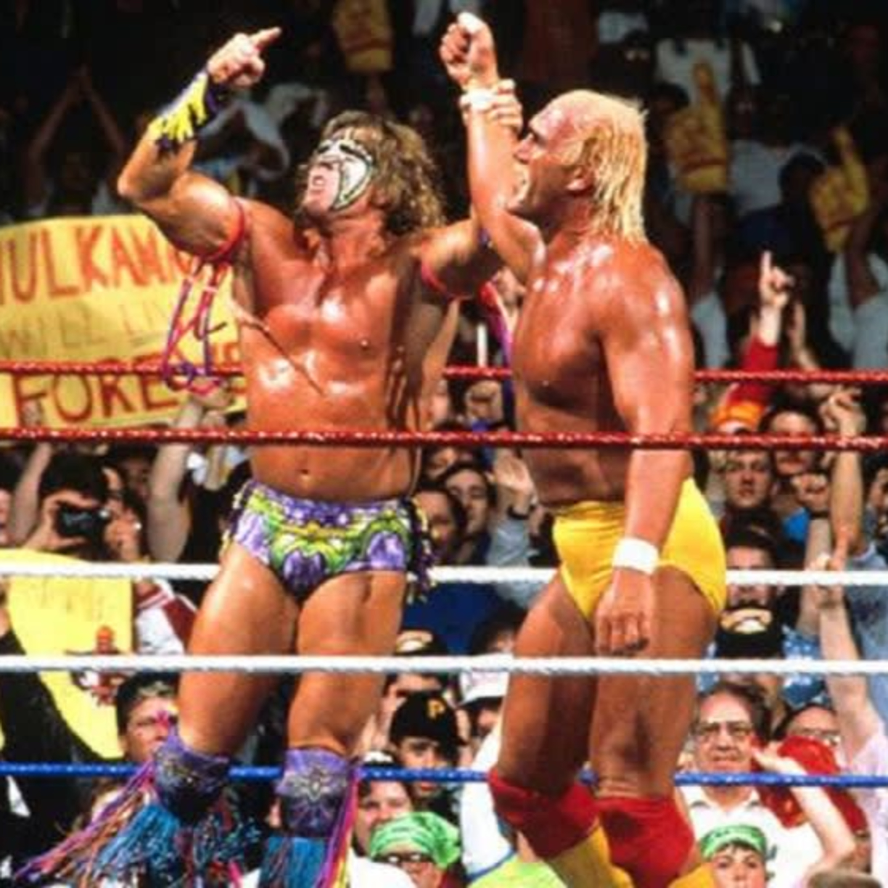 Diary of a Wrestling Fan