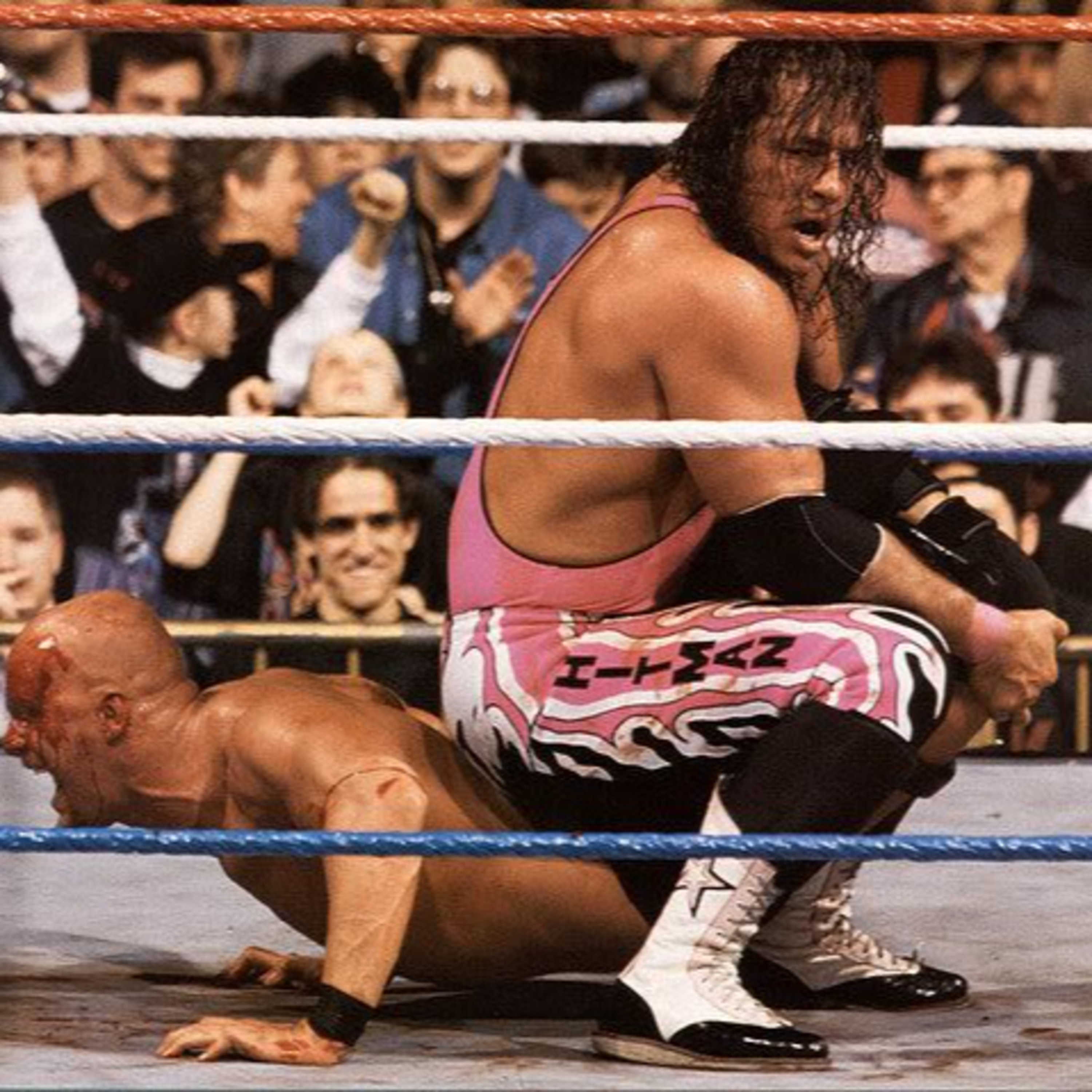 Diary of a Wrestling Fan