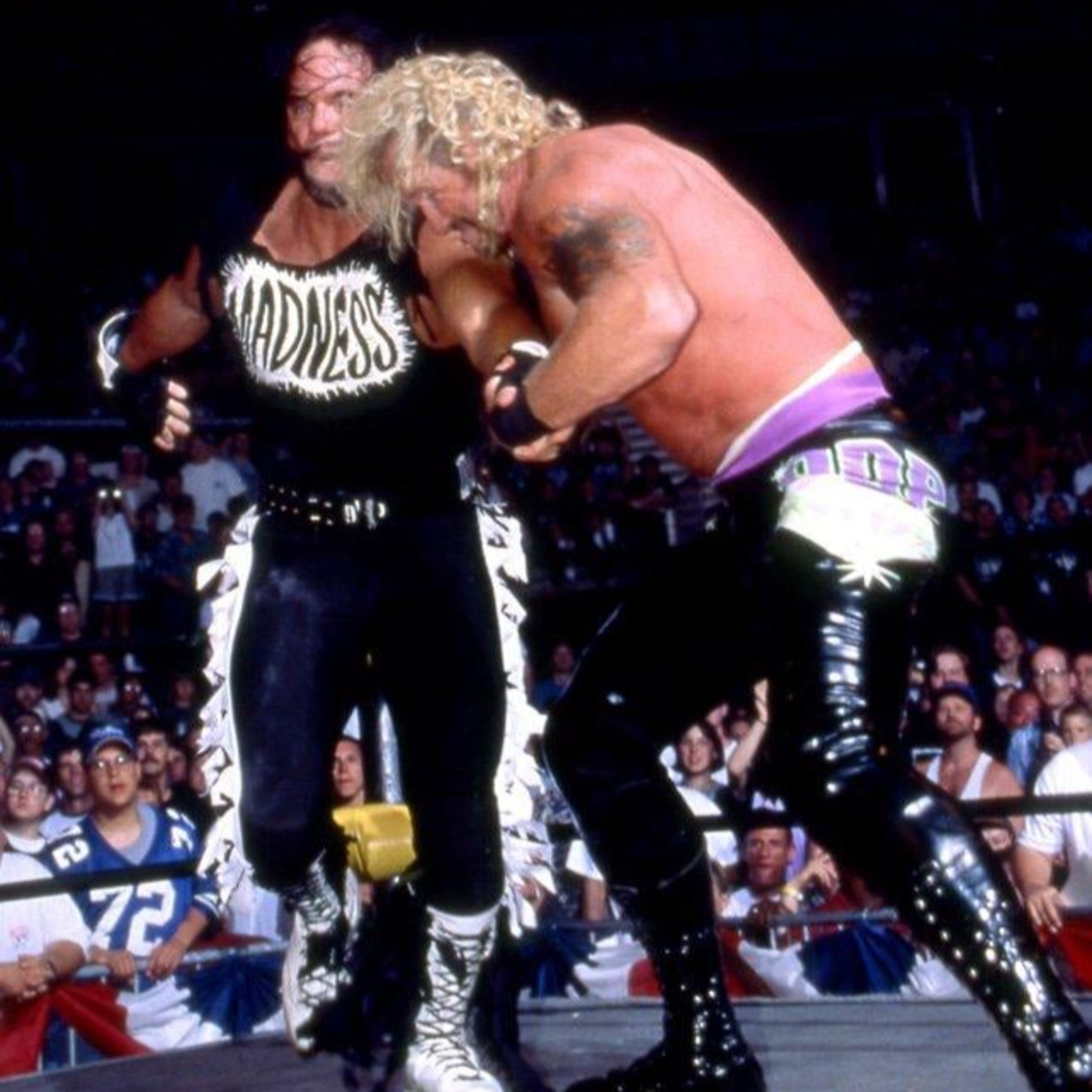 Diary of a Wrestling Fan
