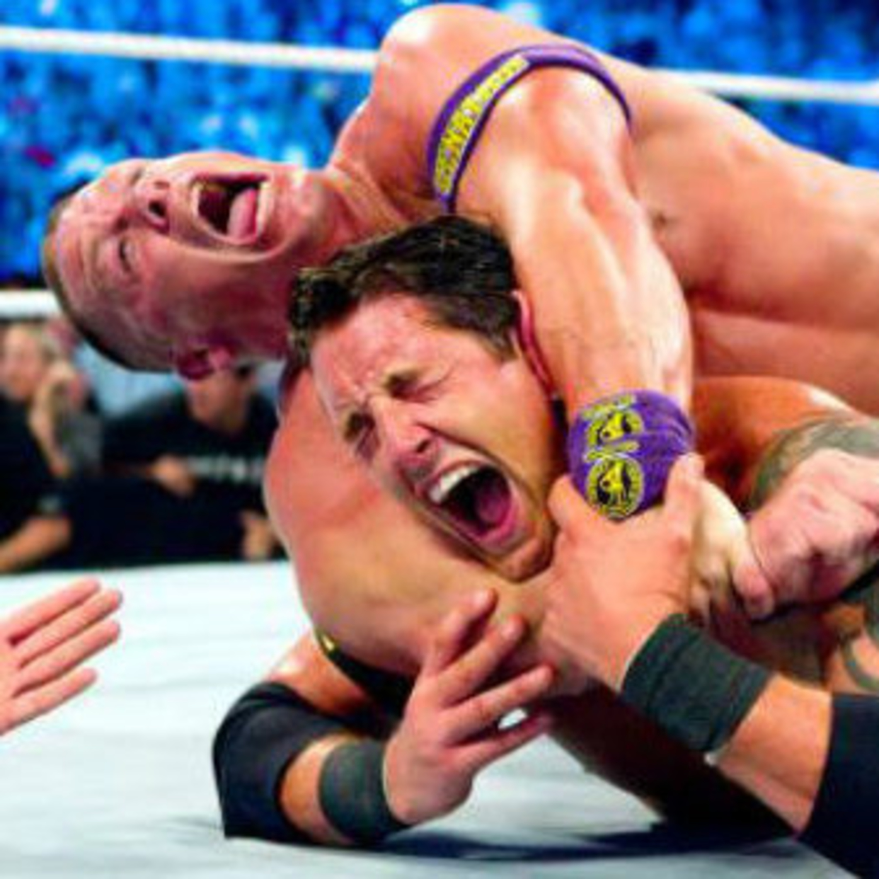 Diary of a Wrestling Fan