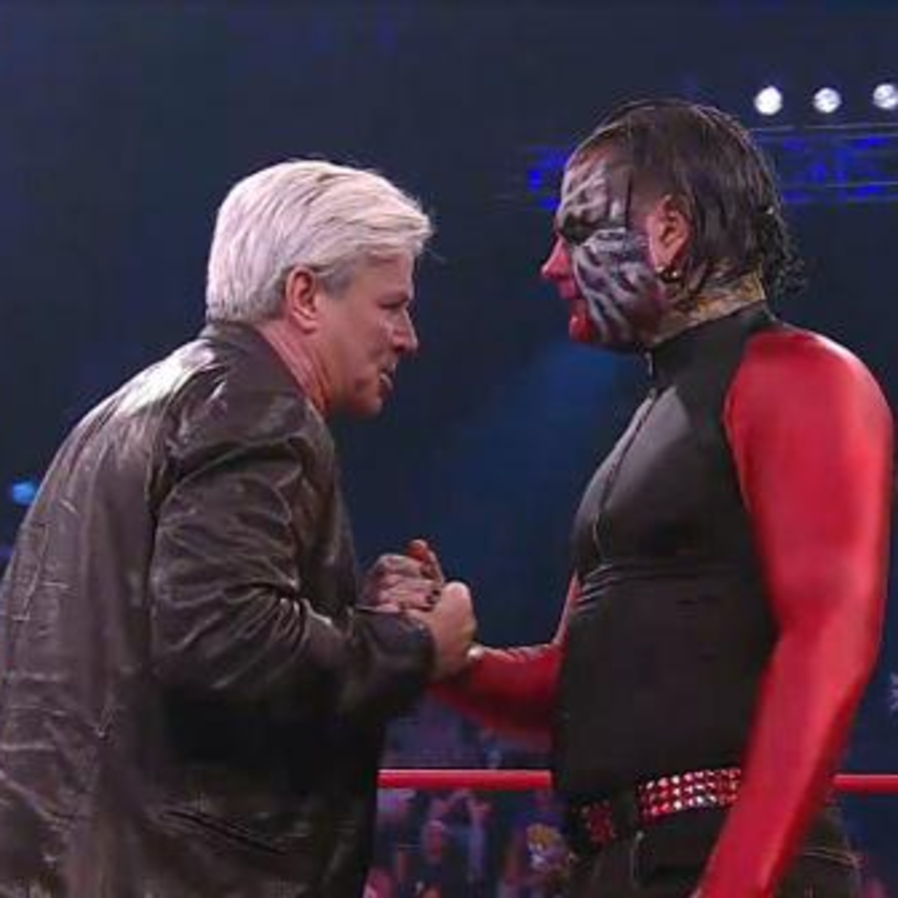 Diary of a Wrestling Fan