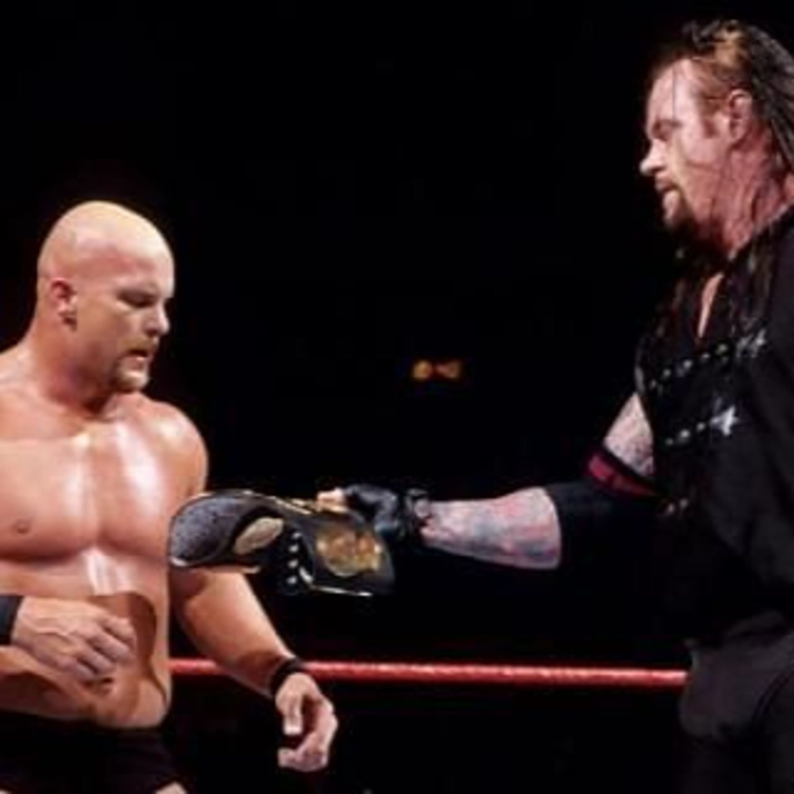 Diary of a Wrestling Fan