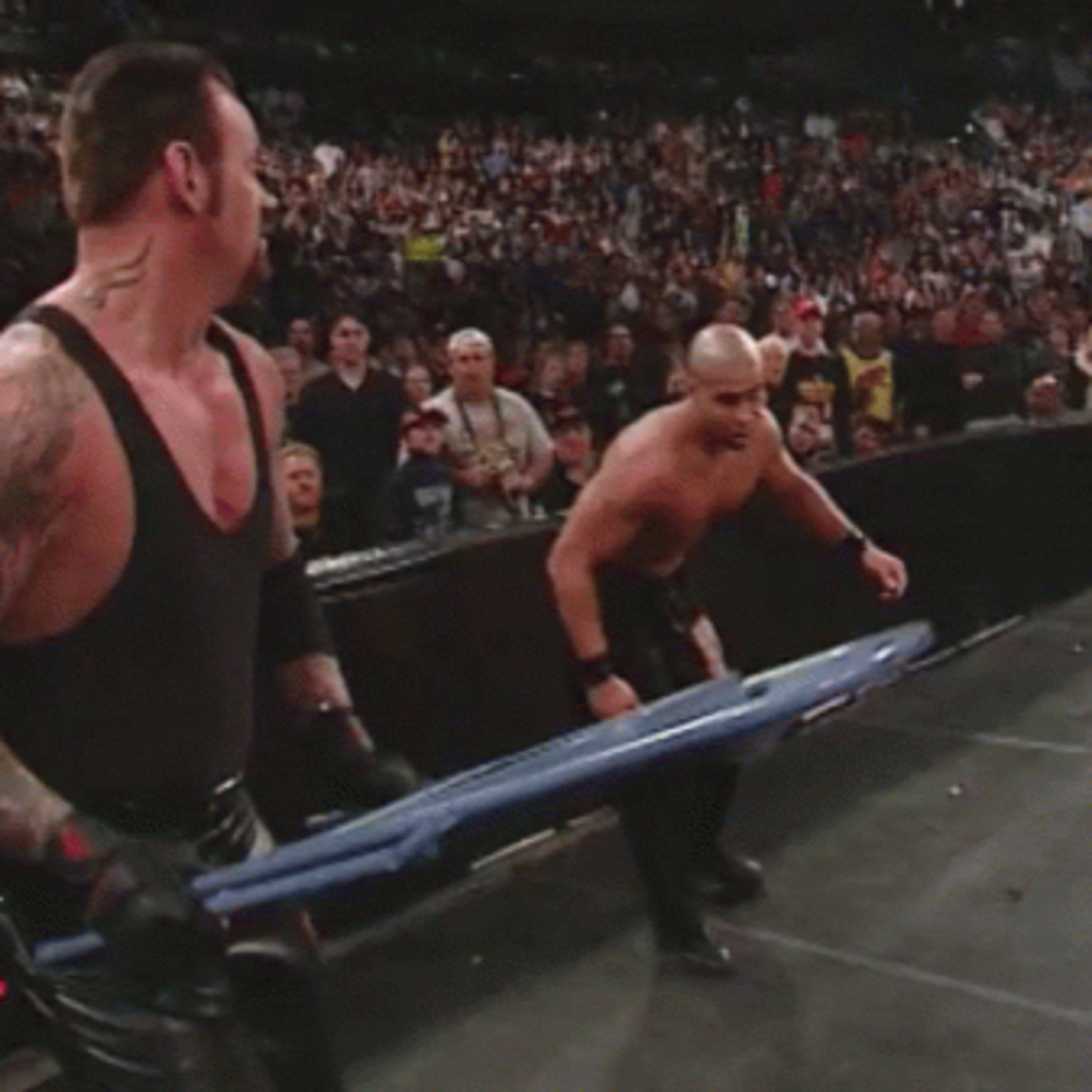 Diary of a Wrestling Fan