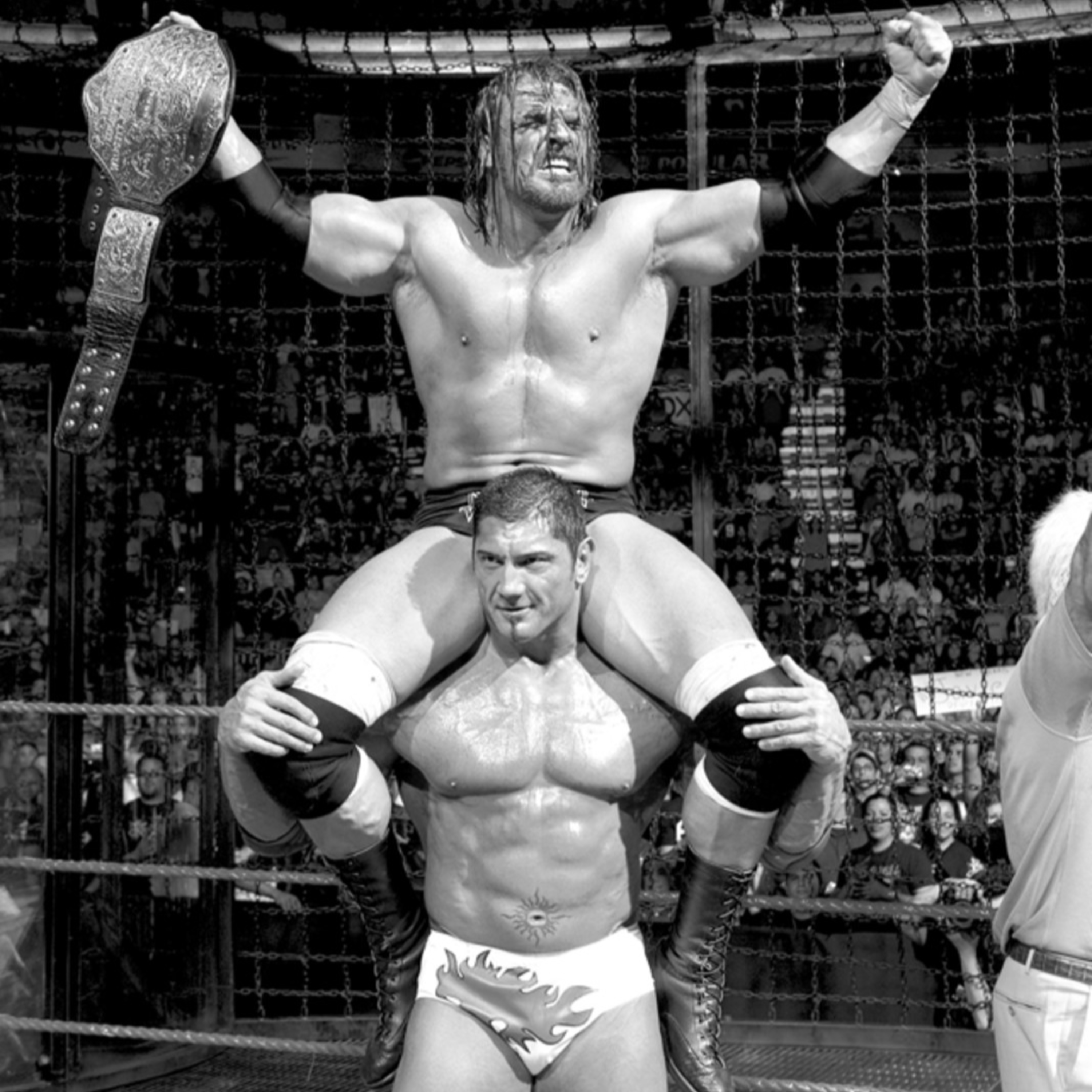 Diary of a Wrestling Fan