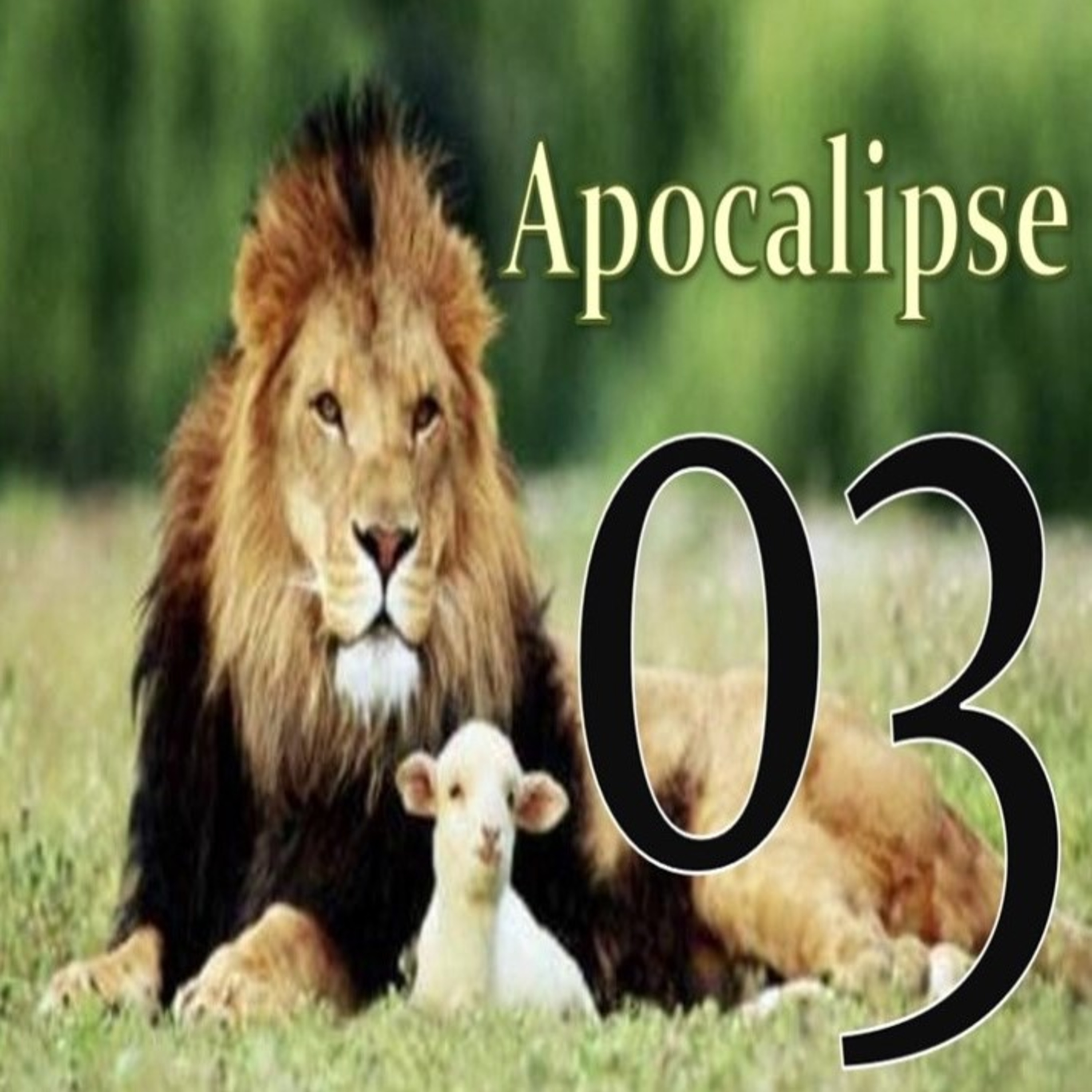 Igreja Presbiteriana de Santo André