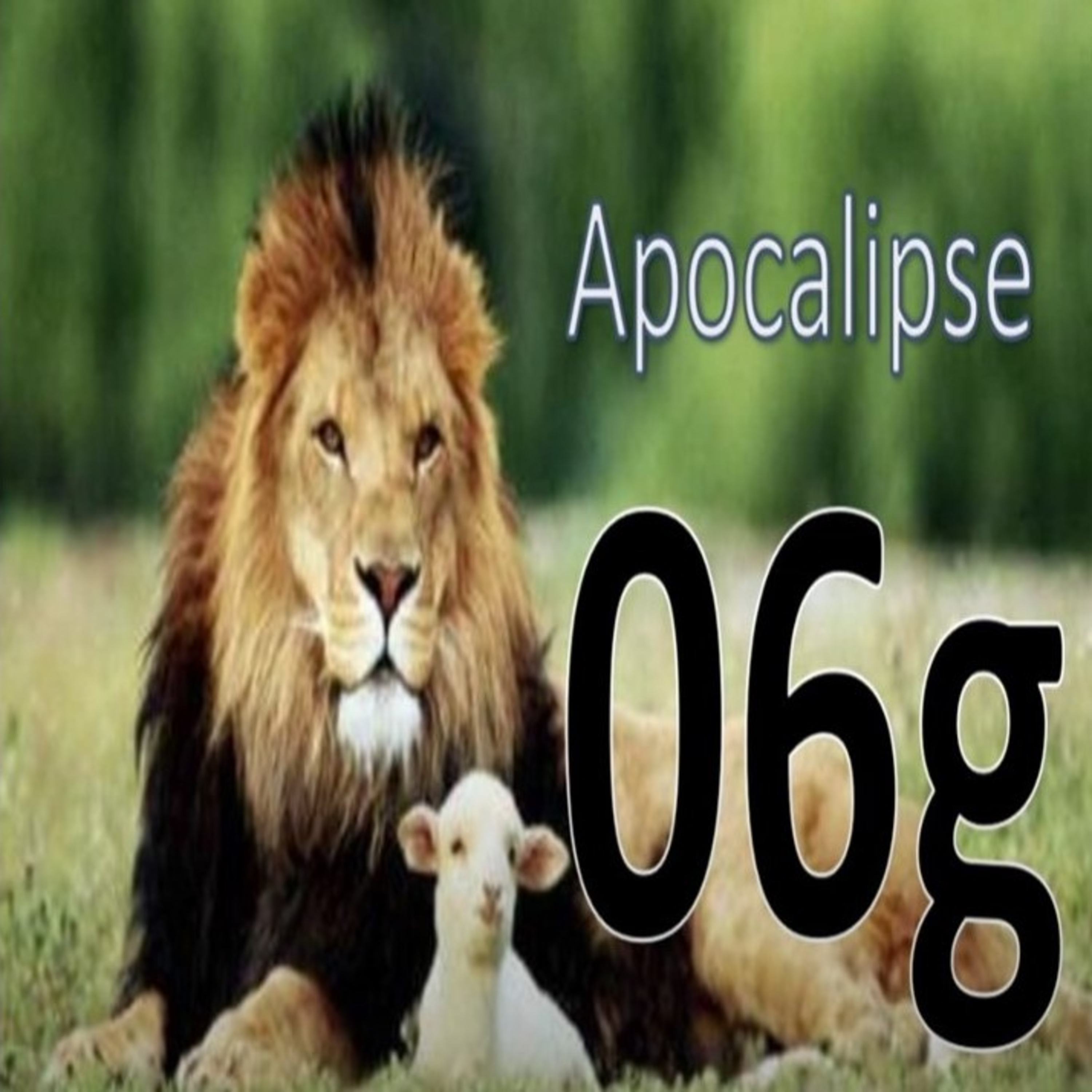 Igreja Presbiteriana de Santo André