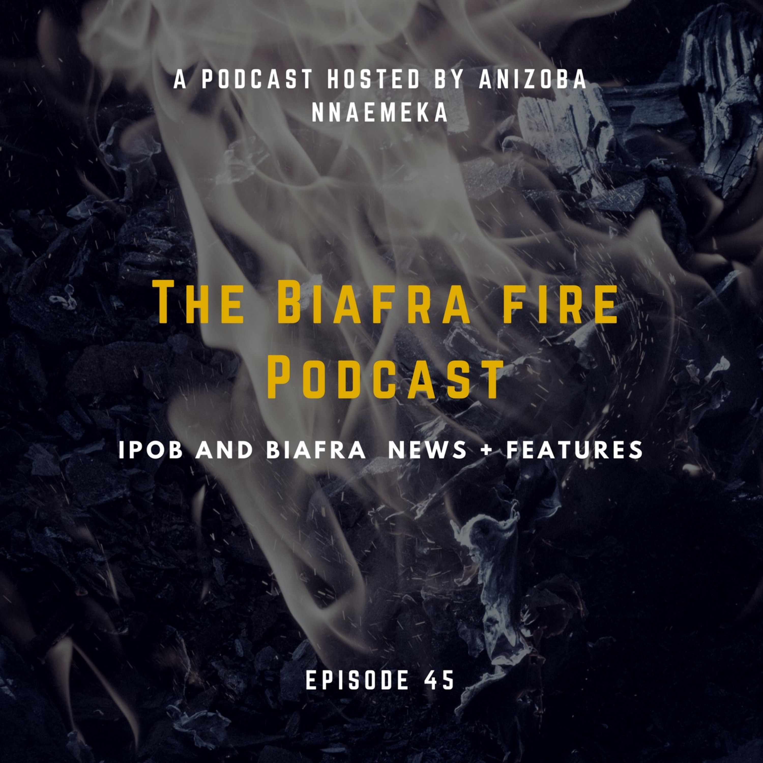 The Biafra Fire Podcast, Episode 45